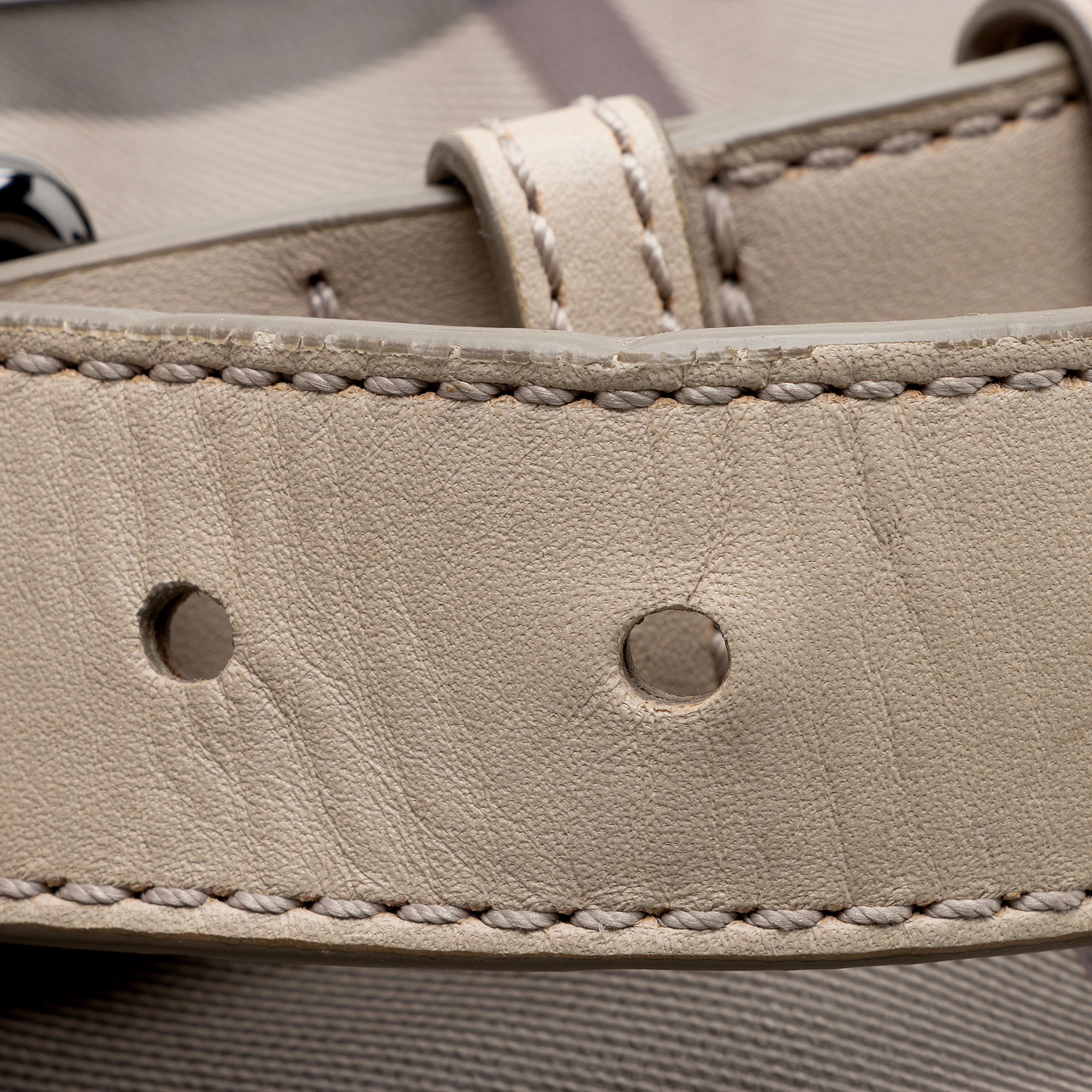 Burberry Smoke Check Walden Medium Hobo (SHF-22987)