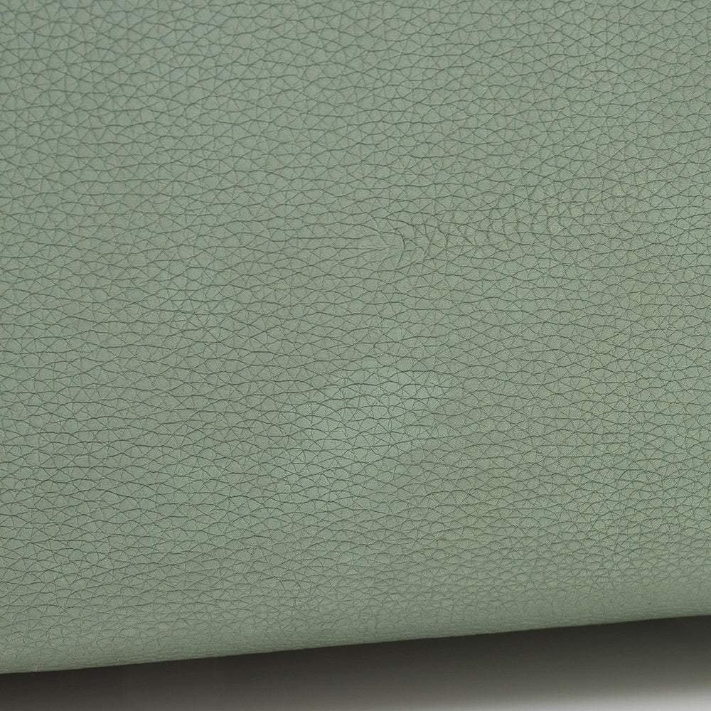 Celine Calfskin Phantom Luggage Tote (SHF-22050)