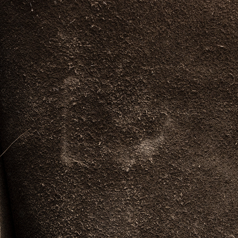 Celine Calfskin Phantom Luggage Tote (SHF-22050)