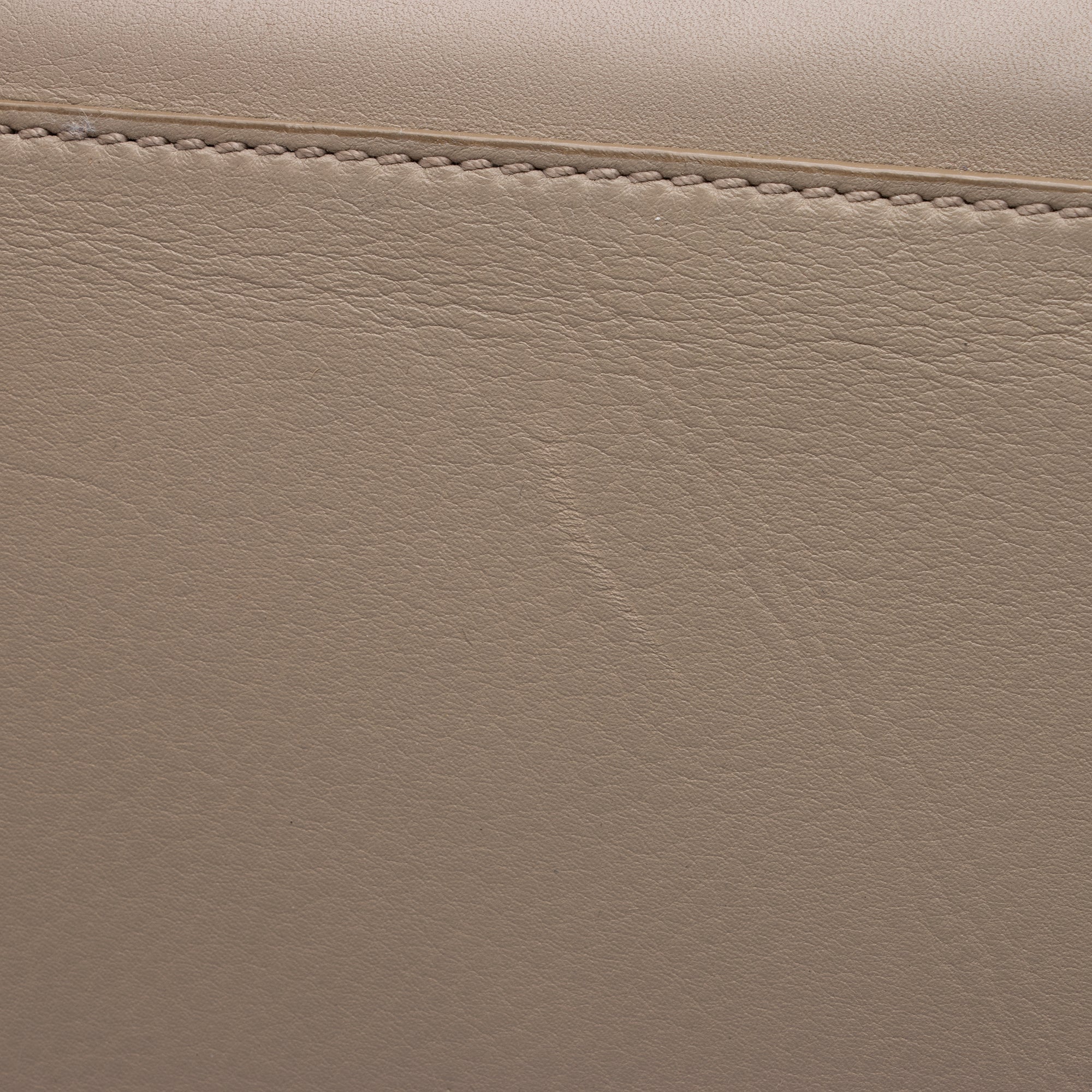 Celine Calfskin Phantom Luggage Tote (SHF-23577)