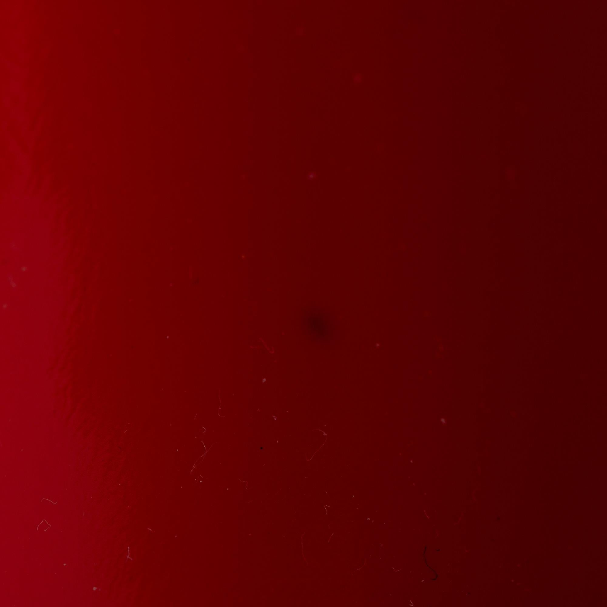 Celine Medium Classic Box Leather Crossbody Bag (SHG-25273)