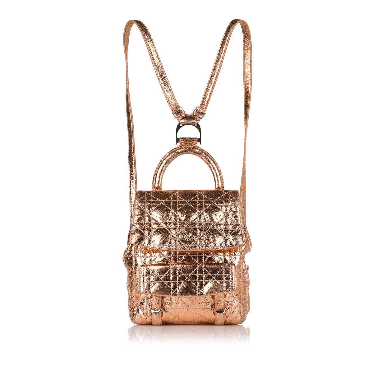 Dior Cannage Stardust Leather Backpack (SHG-35507) display picture 3