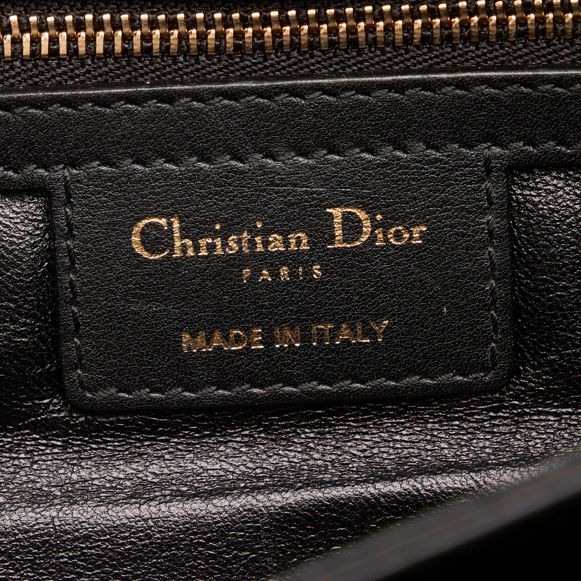 Dior Diorling Leather Shoulder Bag (SHG-33284)