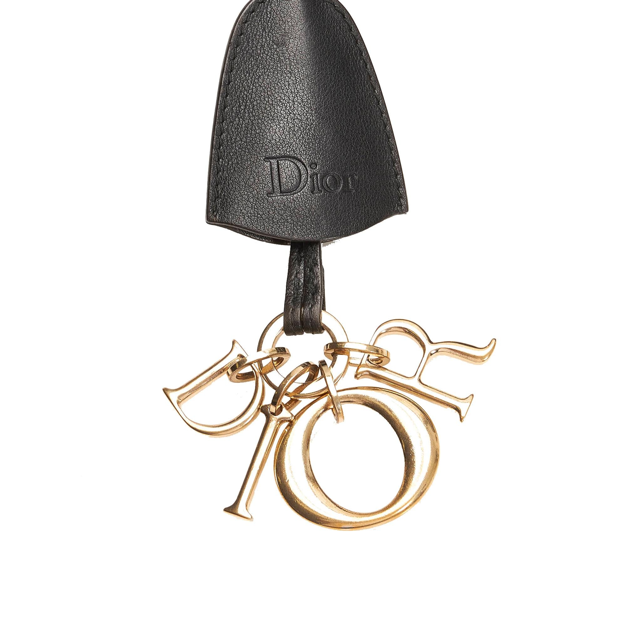 Dior Diorling Leather Shoulder Bag (SHG-33284)