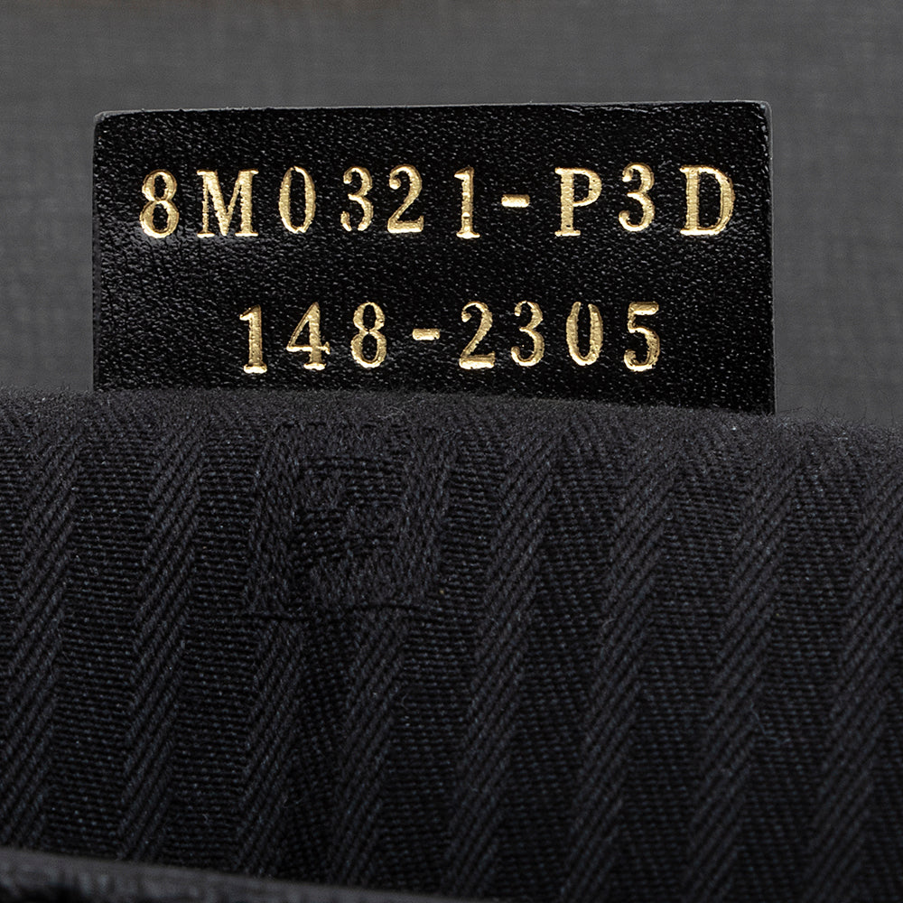 Fendi Leather Borsa Mini Crossbody Bag (SHF-19852)