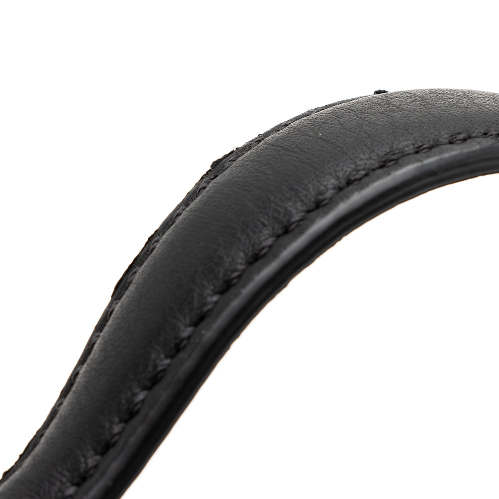 Fendi Leather Borsa Mini Crossbody Bag (SHF-19852)