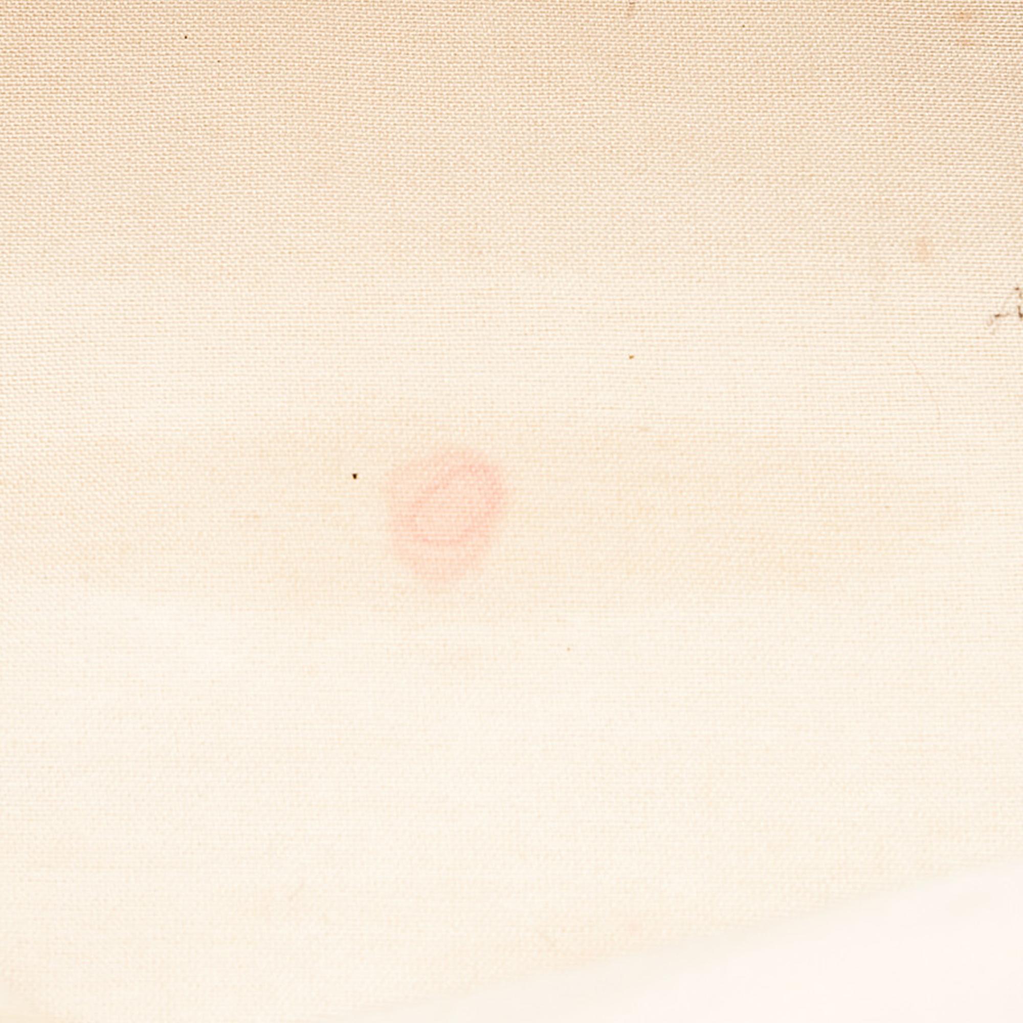 Fendi Zucchino Canvas Tote Bag (SHG-26782)