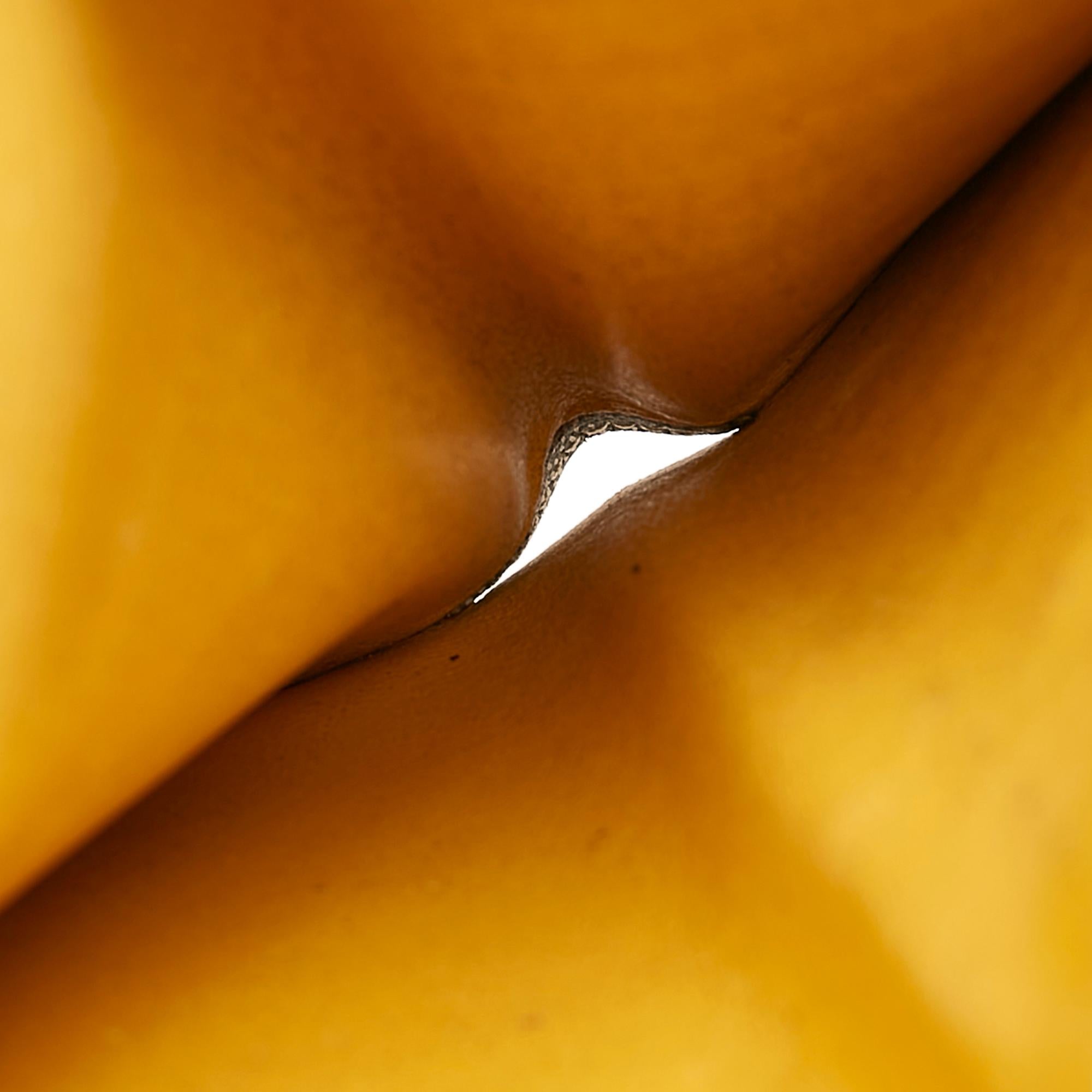 Goyard Saint Roch Long Wallet (SHG-36037)