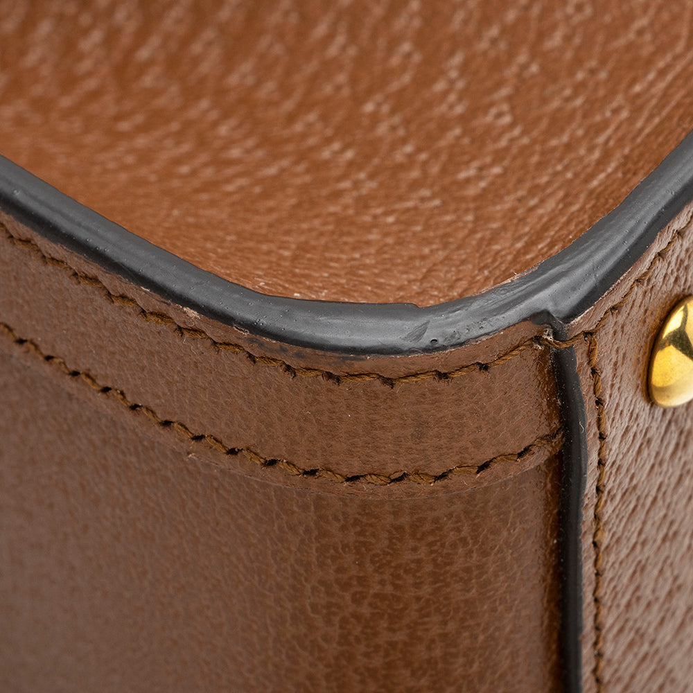 Gucci Cuir Leather Diana Mini Tote (SHF-22056)