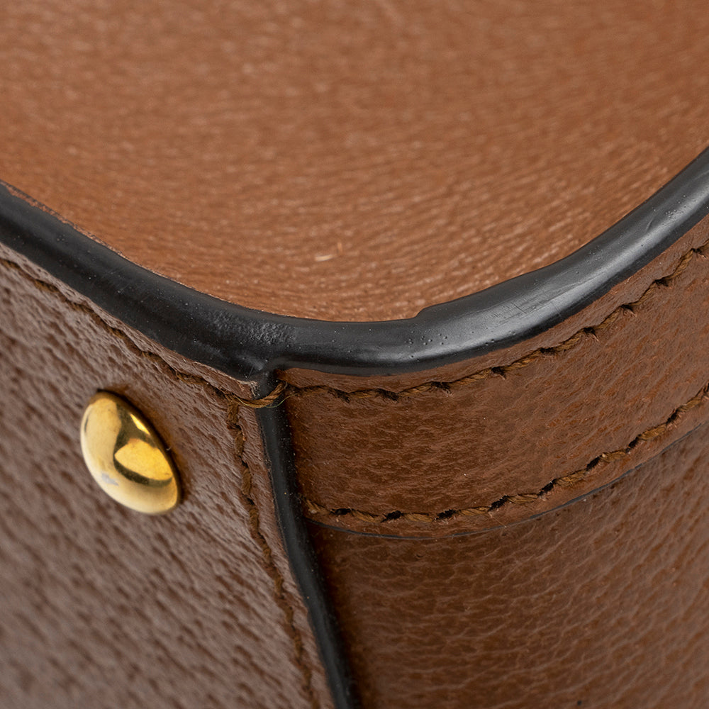 Gucci Cuir Leather Diana Mini Tote (SHF-22056)