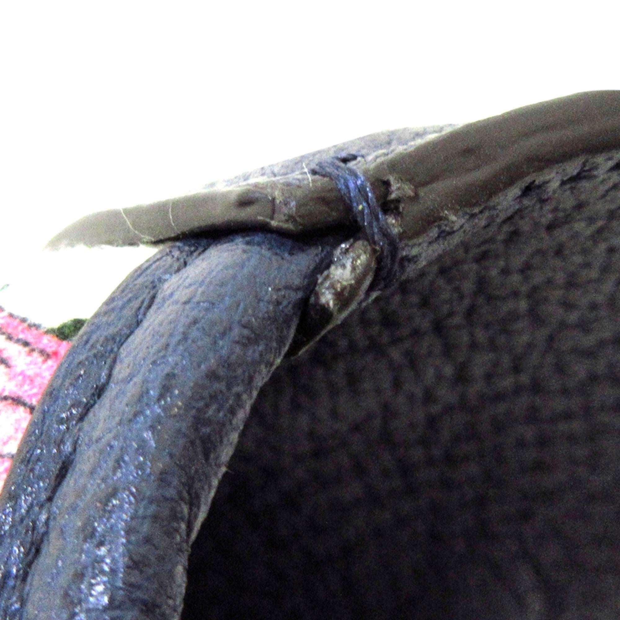 Gucci Flora Jackie (SHG-Nafmrr)