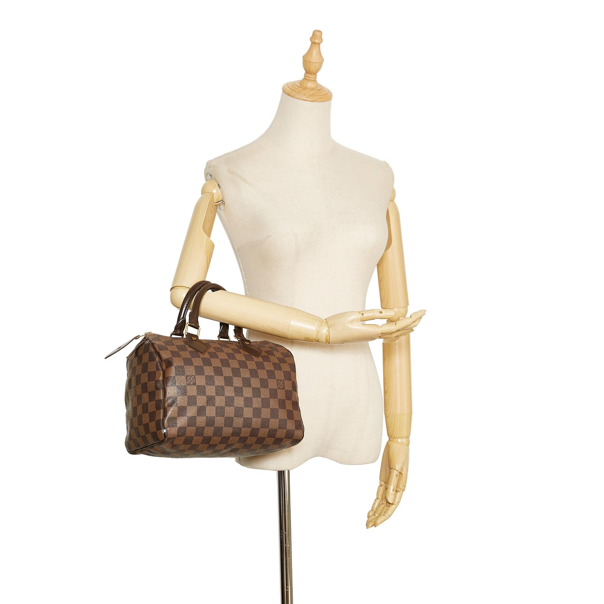 Louis Vuitton Damier Ebene Speedy 25 (SHG-wuTgrY)