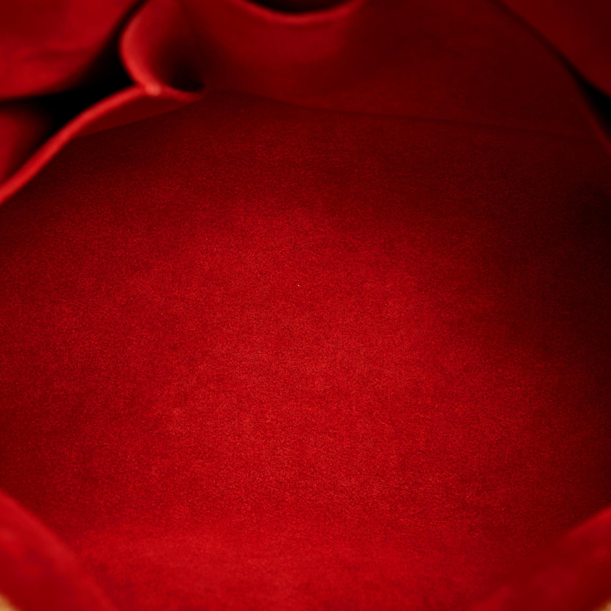 Louis Vuitton Damier Ebene Trevi PM (SHG-28418)