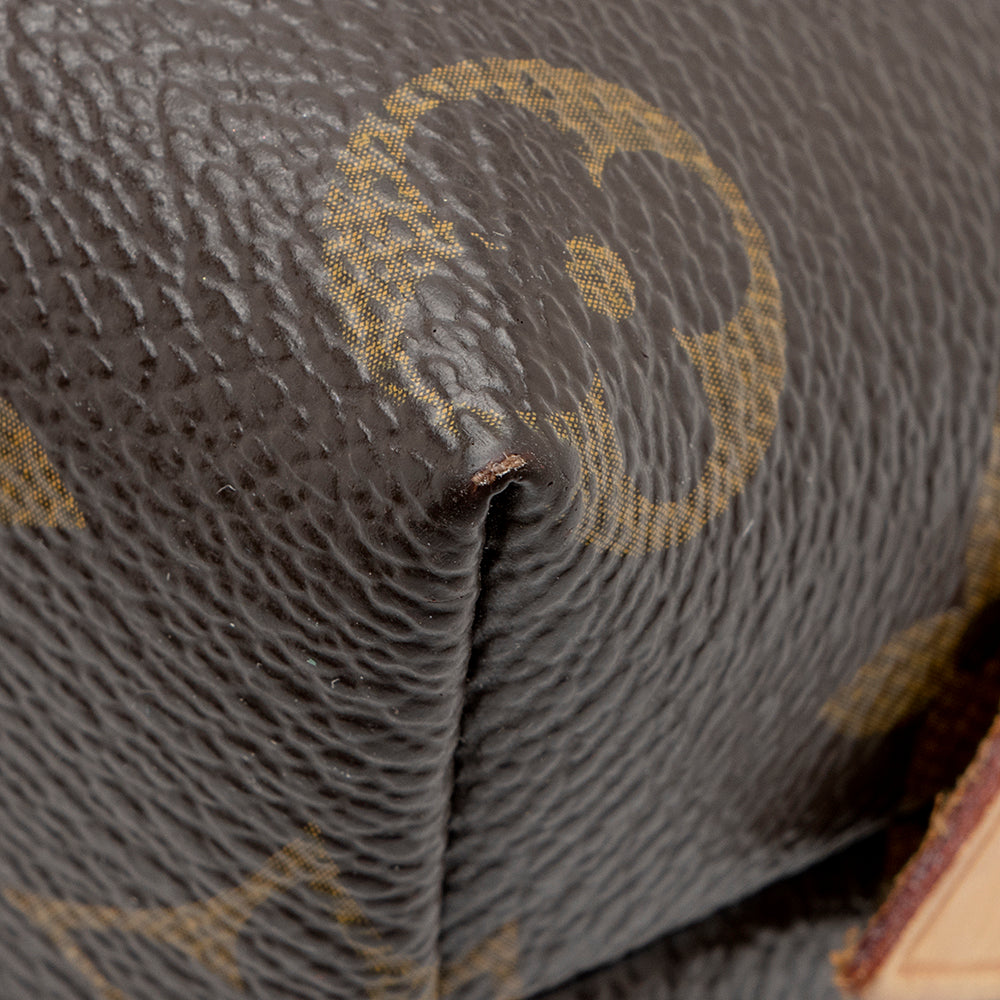 Louis Vuitton Monogram Canvas Cosmetic Pouch (SHF-20521)