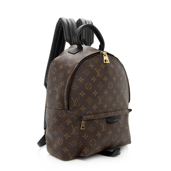 Louis Vuitton Palm Springs Backpack LV Airline Leather with Monogram Canvas  PM