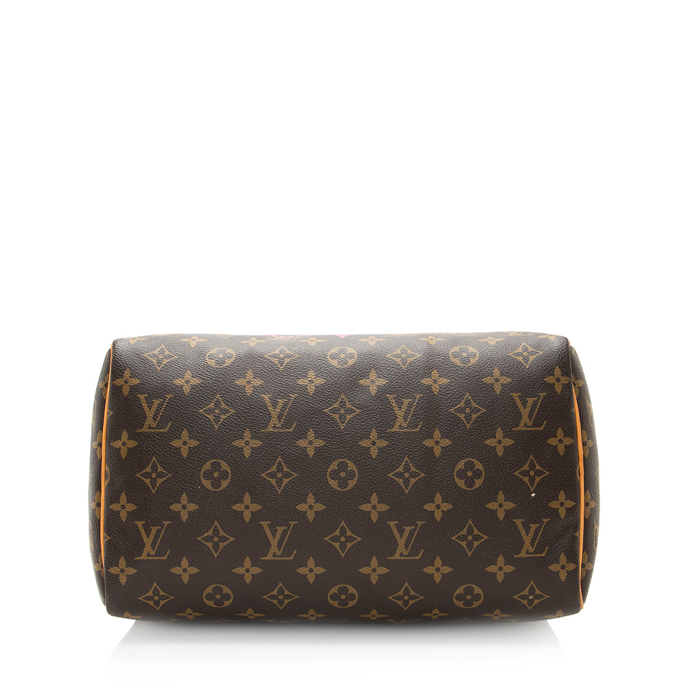 Louis Vuitton Monogram V Speedy 30 Satchel (SHF-19957)