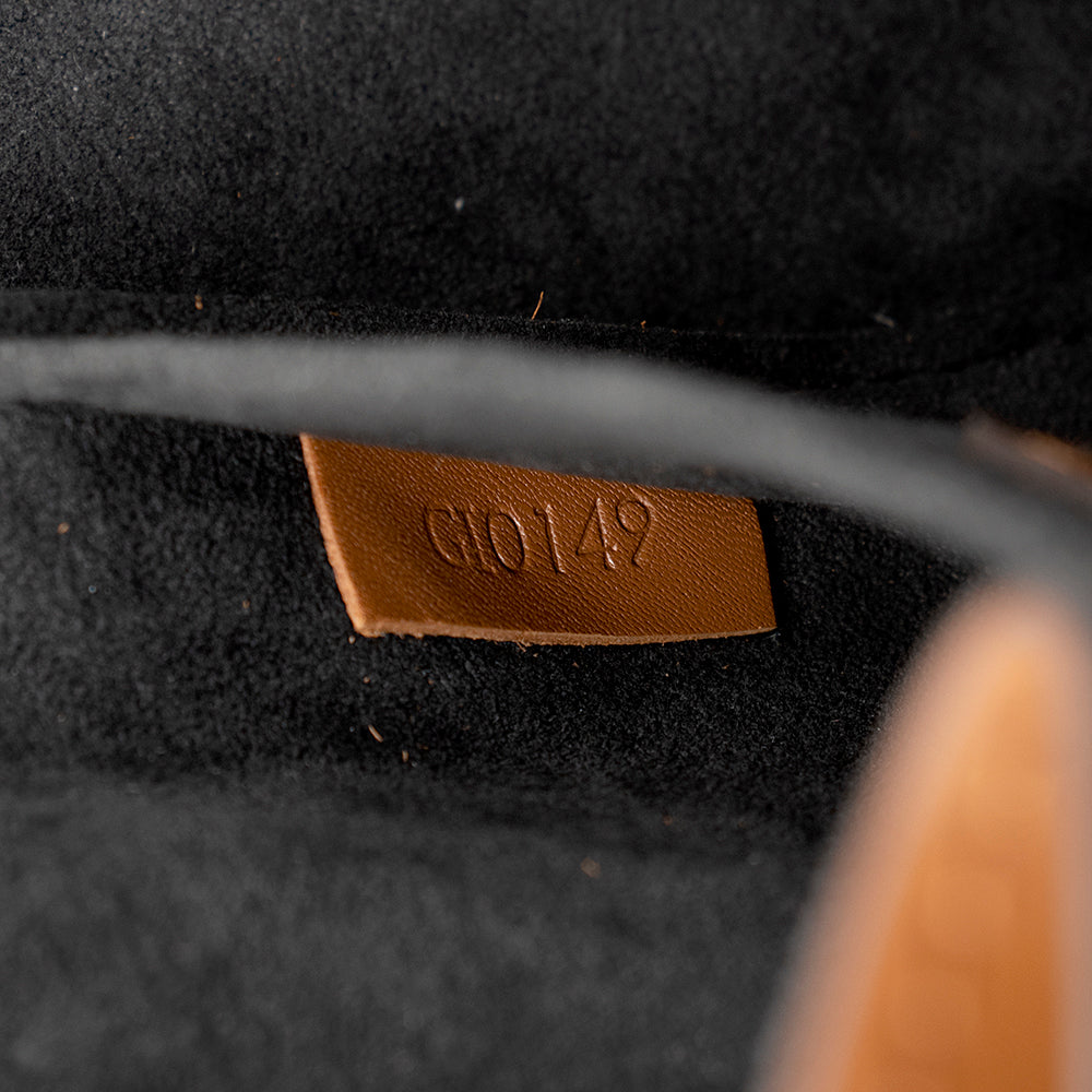 Louis Vuitton Taurillon Leather Dauphine MM Shoulder Bag (SHF-ZlkYV5)