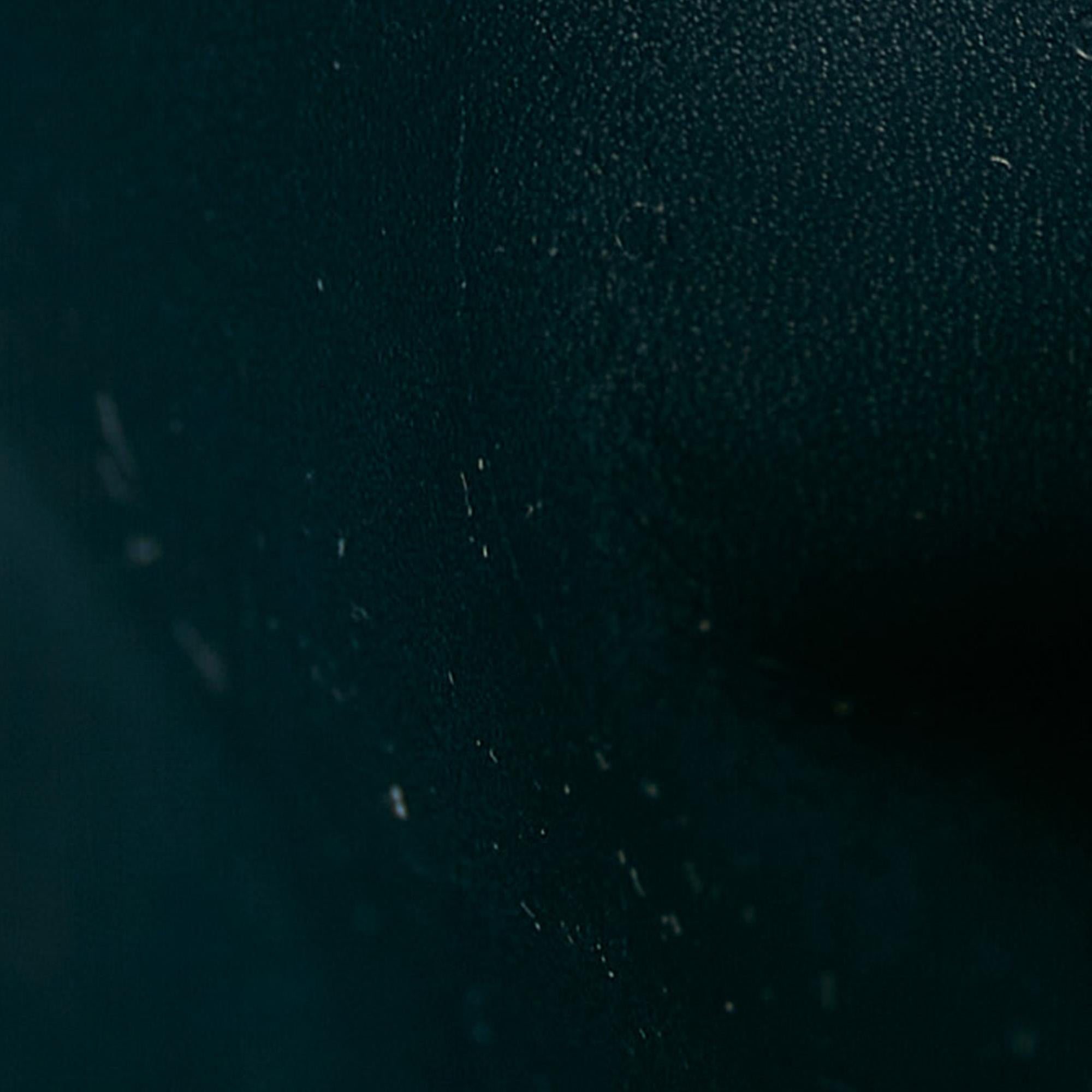 Louis Vuitton Vernis Sarah Long Wallet (SHG-32347)