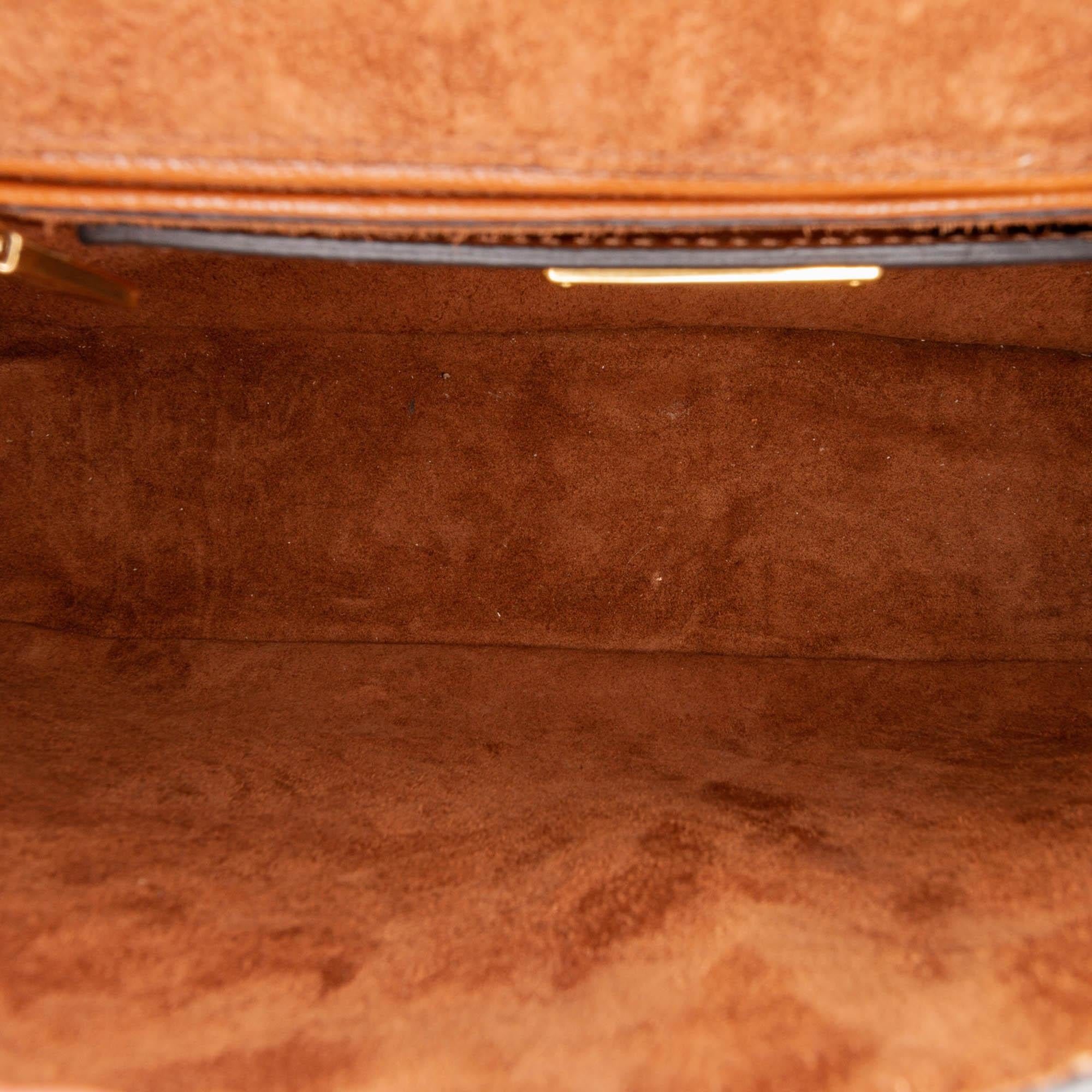 Miu Miu Madras Dahlia Leather Crossbody Bag (SHG-12869)