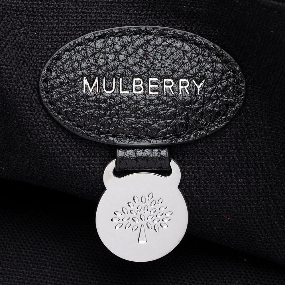 Mulberry Leather Alexa Satchel (SHF-19695)