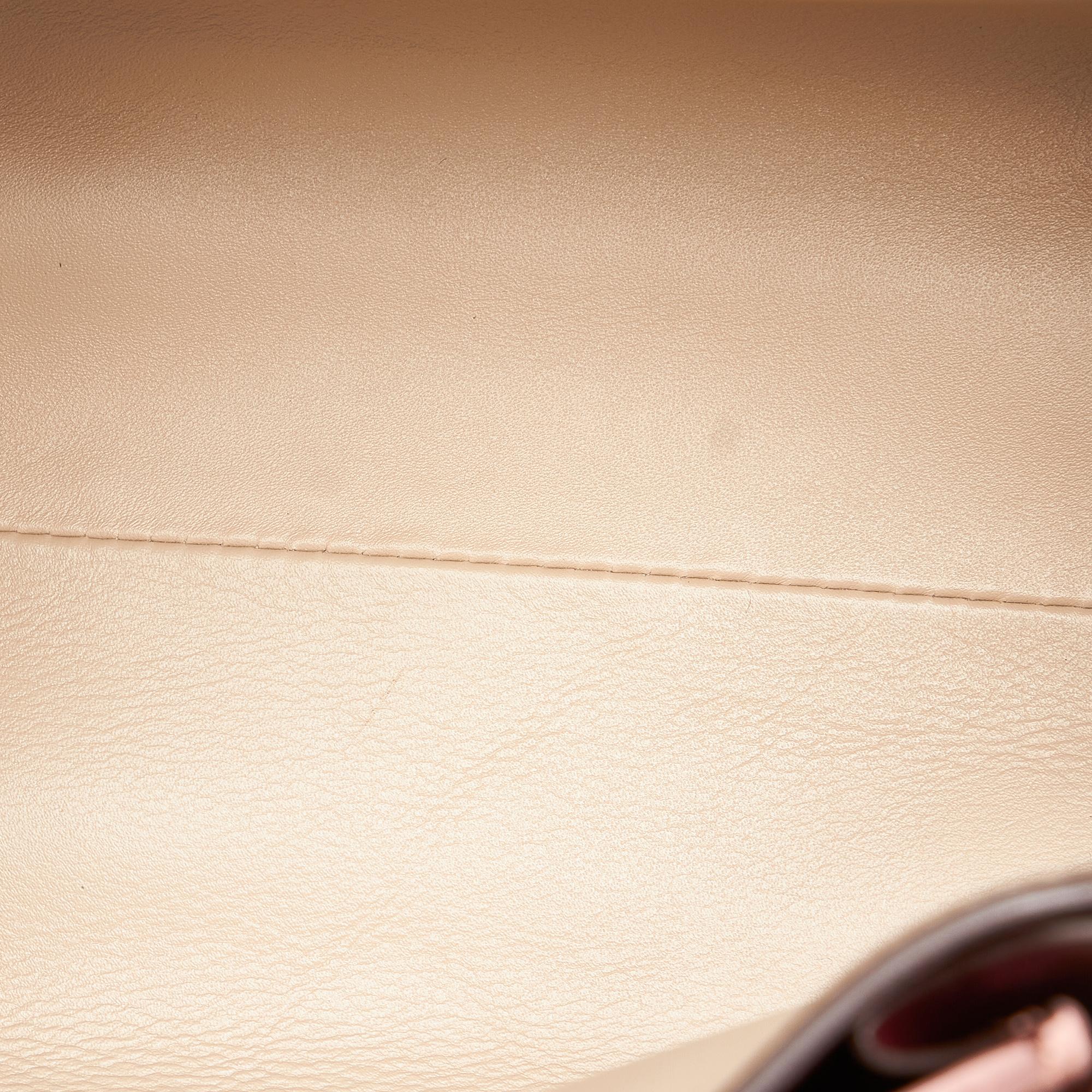 Salvatore Ferragamo Gancini Sofia Leather Satchel (SHG-27186)