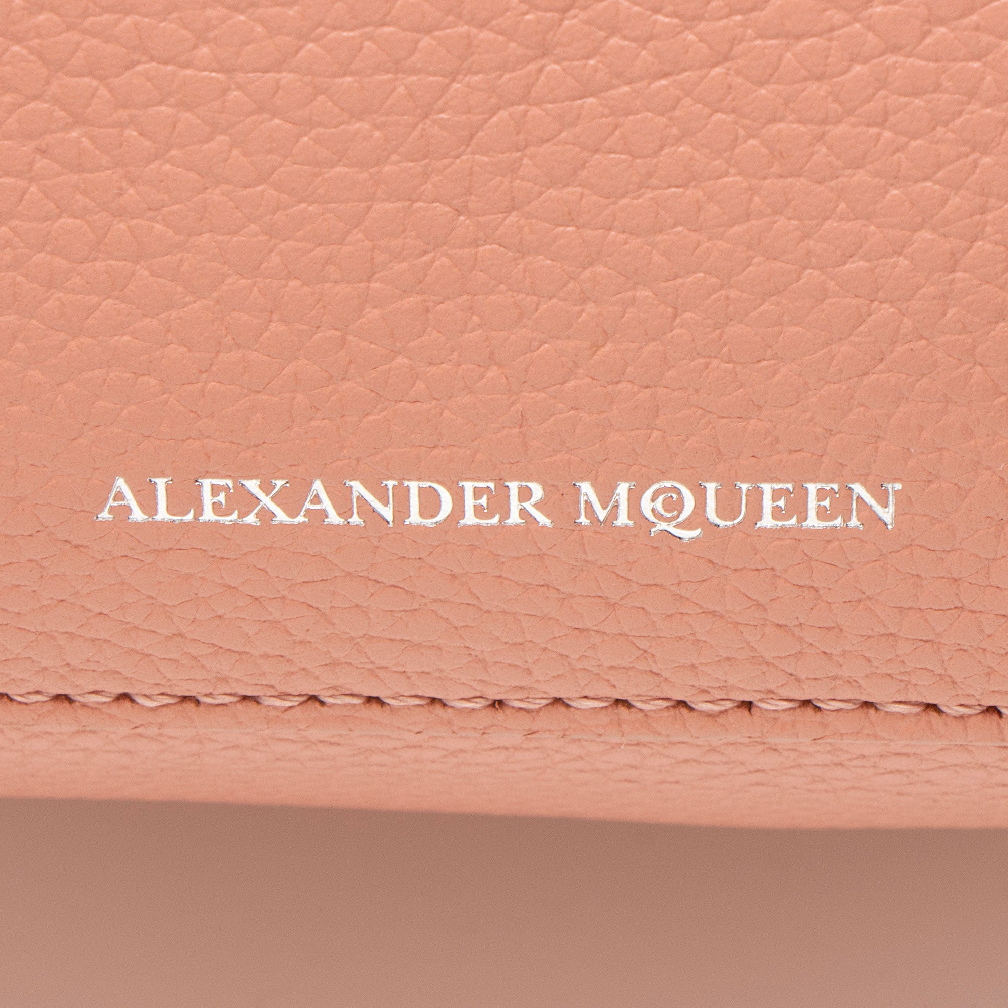 Alexander McQueen Leather Skull Camera Bag