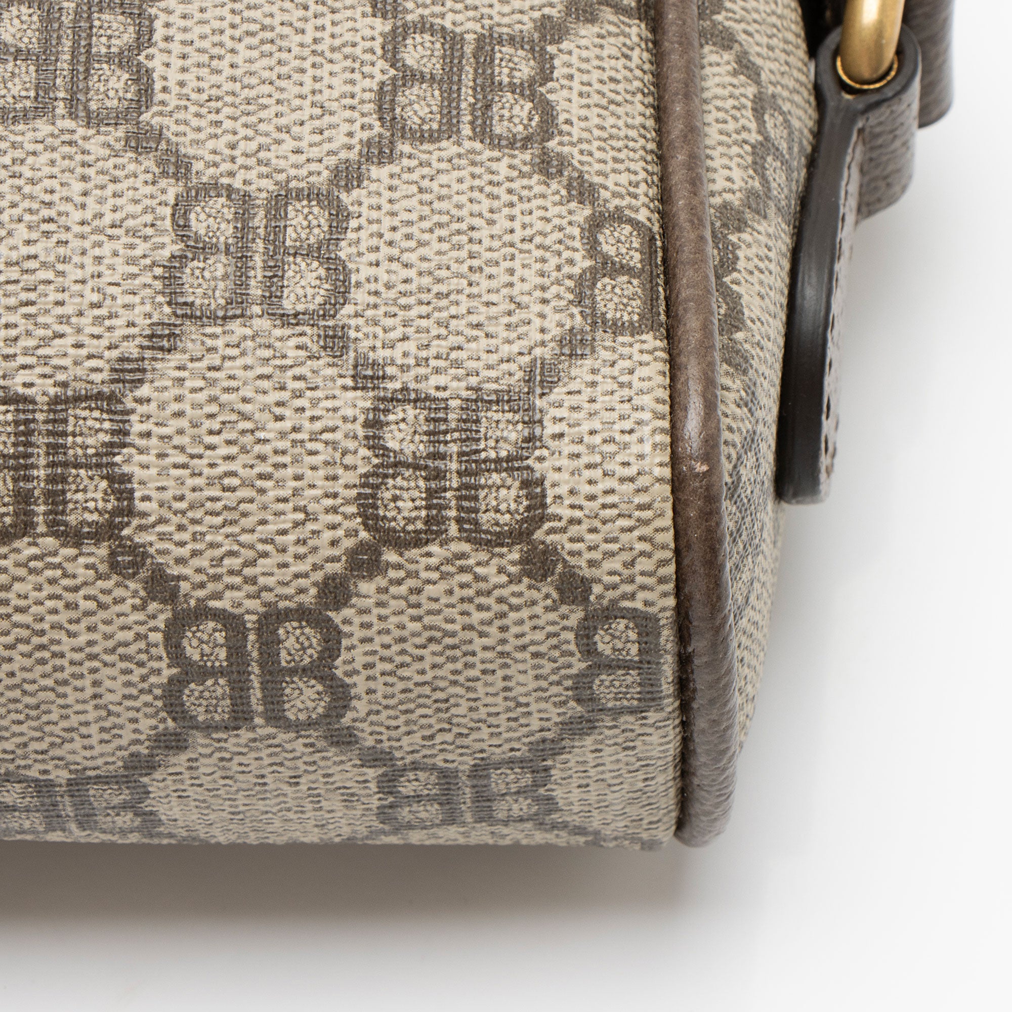 Gucci x Balenciaga BB Supreme Ophidia The Hacker Project Mini Shoulder Bag