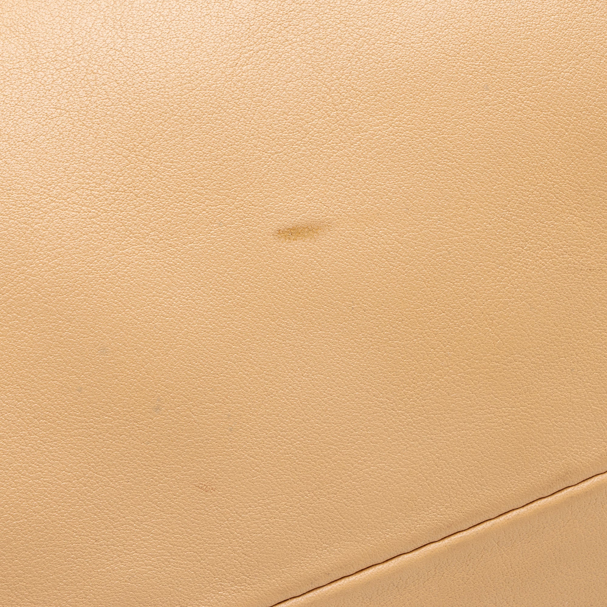 Bottega Veneta Calfskin The Pouch Clutch - FINAL SALE