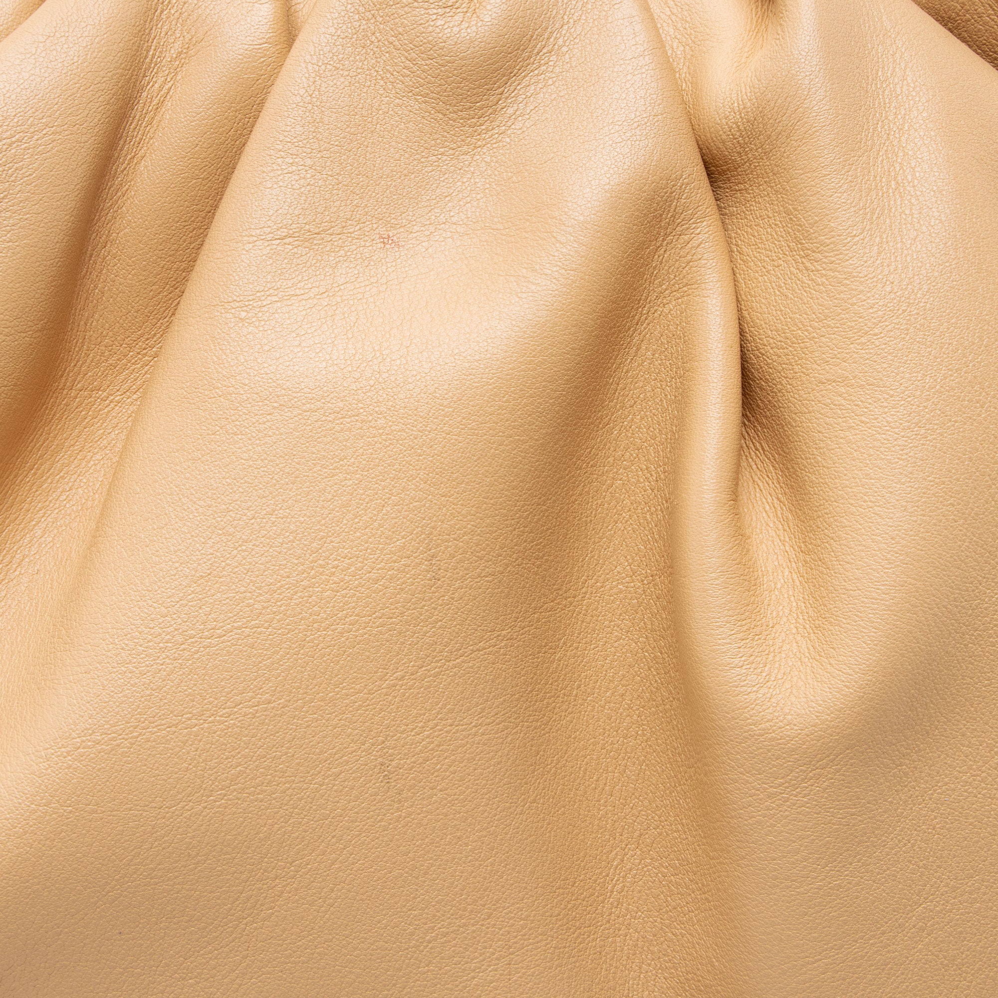 Bottega Veneta Calfskin The Pouch Clutch - FINAL SALE