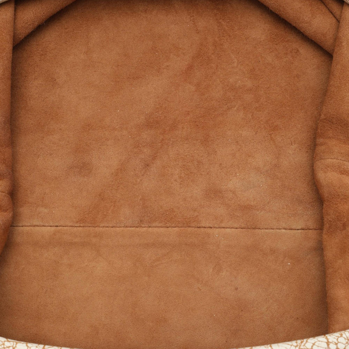 Bottega Veneta Crackled Calfskin The Pouch