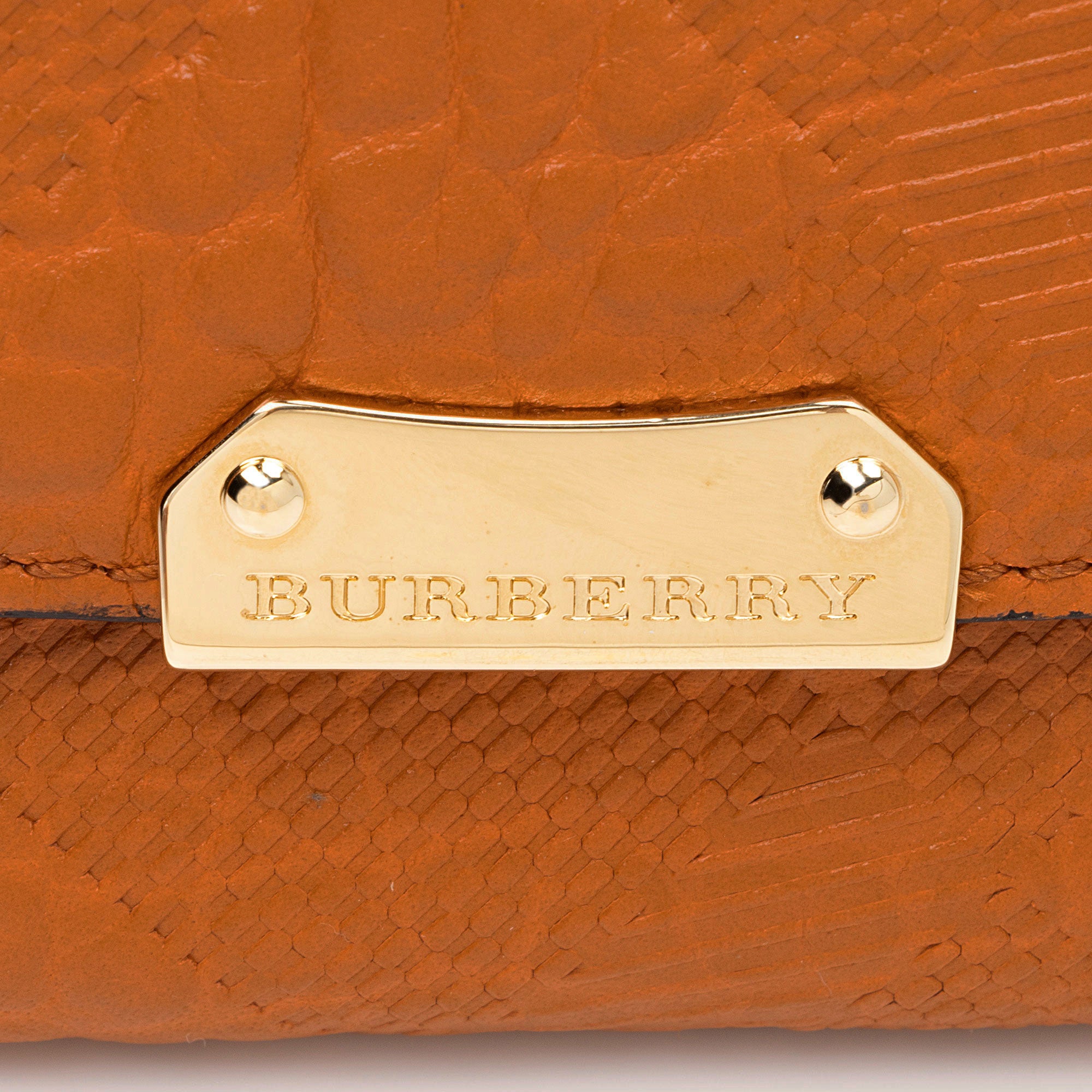 Burberry Embossed Leather Porter Wallet (SHF-QF78fN)