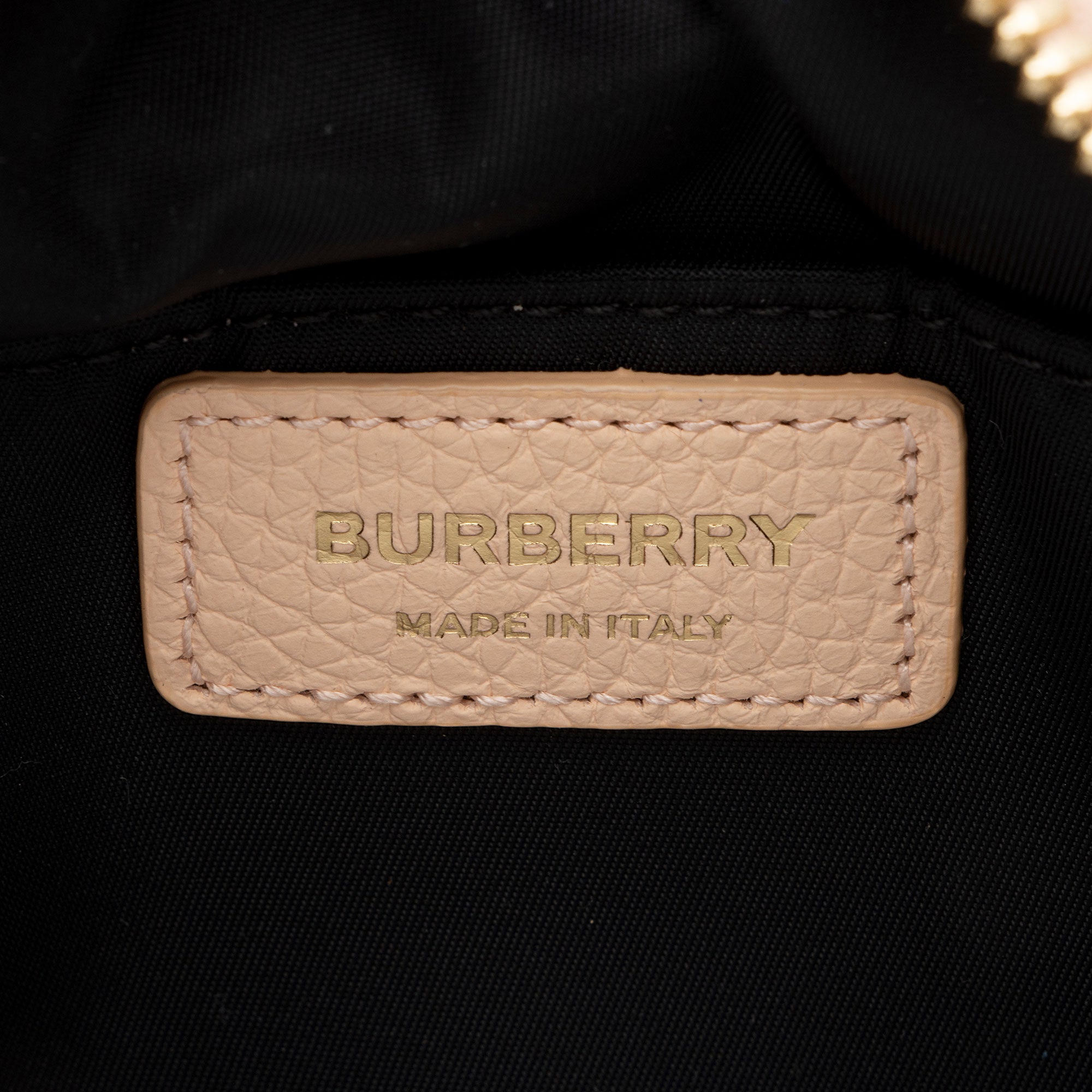 Burberry Grained Calfskin Small Camera Bag (SHF-E4IJux)
