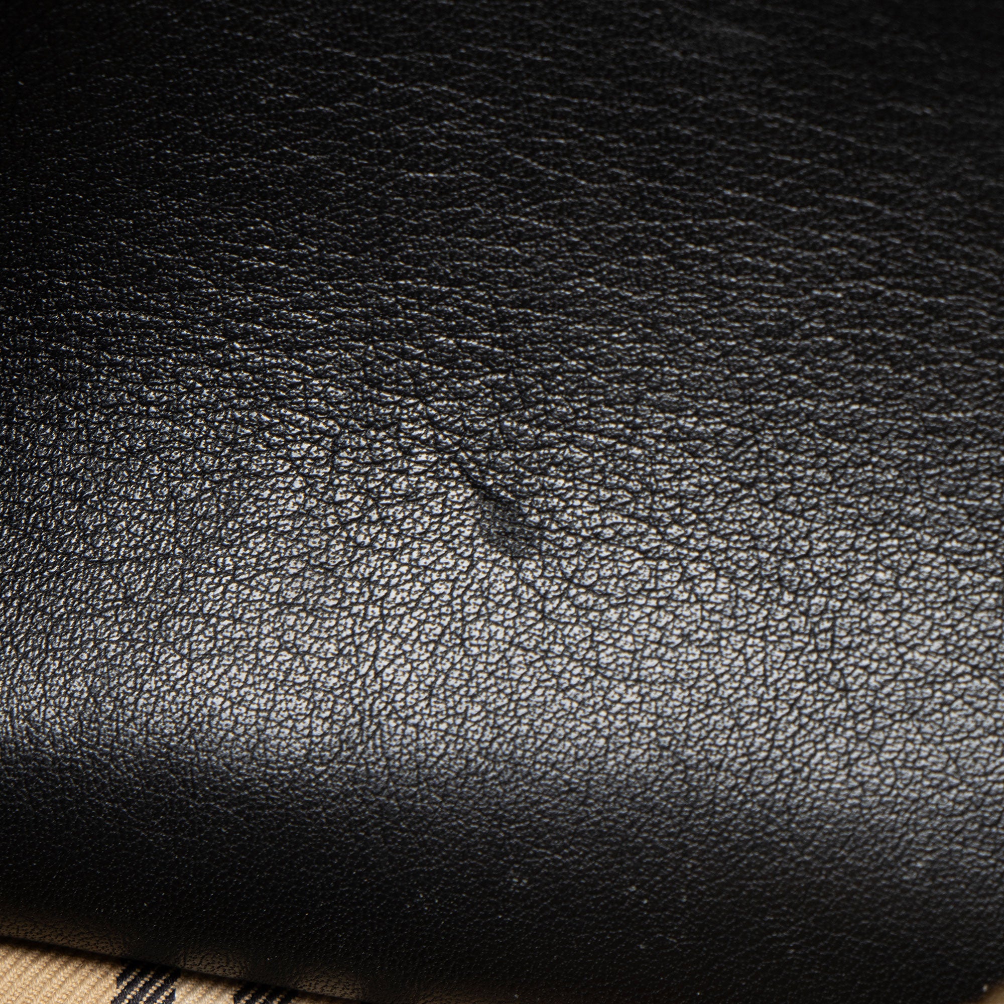 Burberry Leather Link Camera Bag