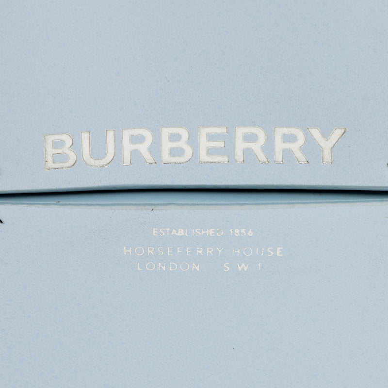 Burberry Smooth Calfskin Josey Chain Lanyard Card Case (SHF-AEGoOF)