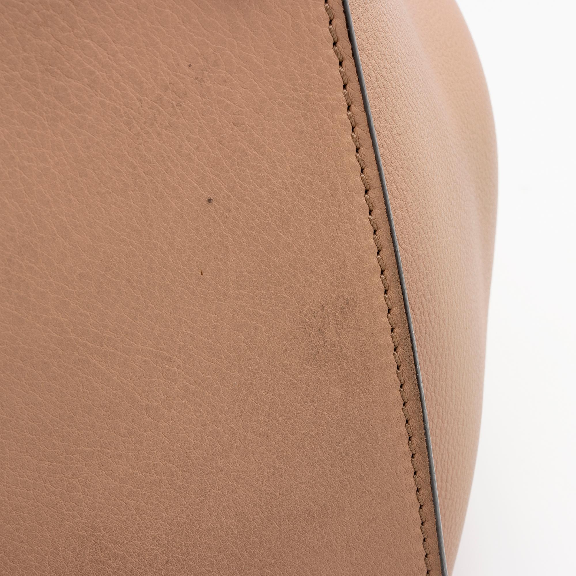 Celine Calfskin Phantom Luggage Tote (SHF-22243)