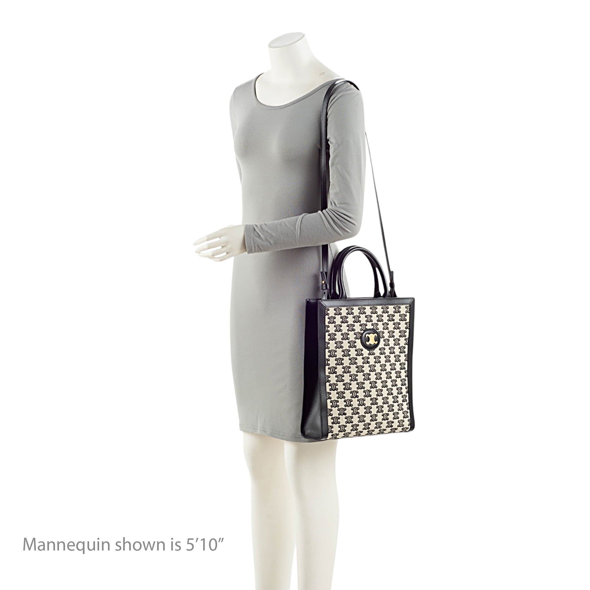 Celine Triomphe Canvas Cabas Vertical Small Tote