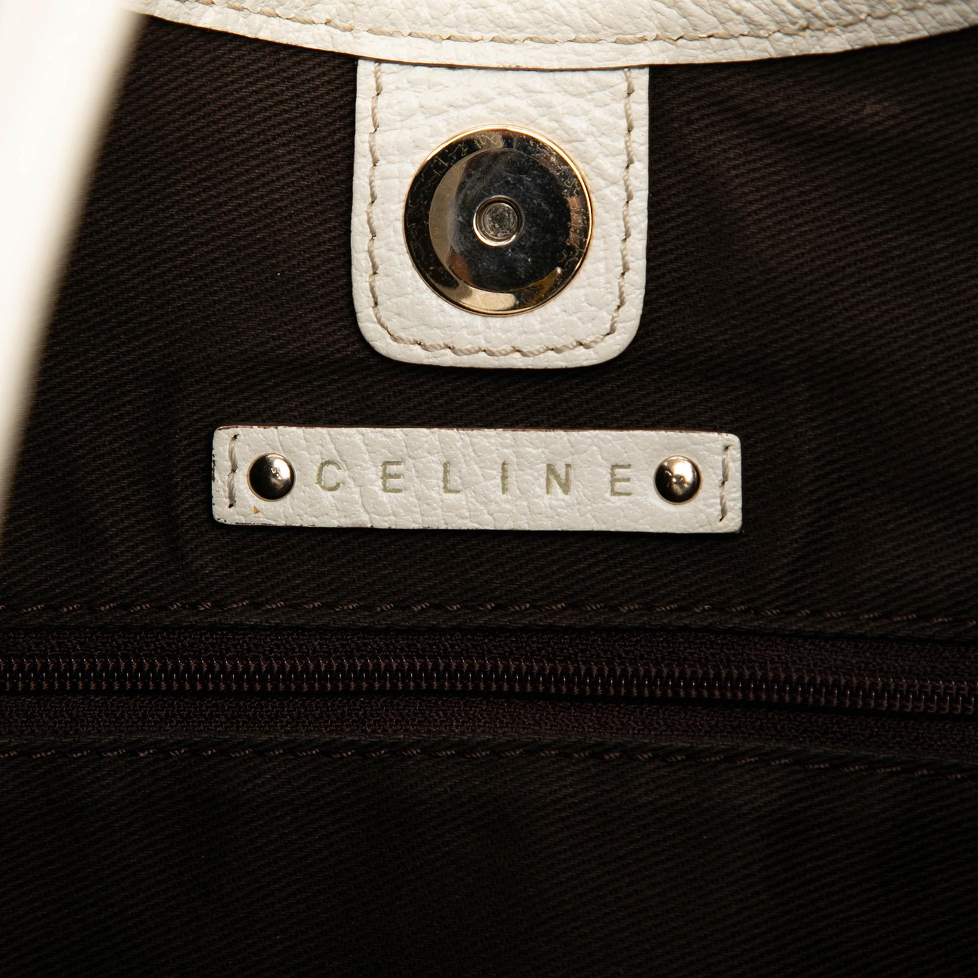 Celine Canvas Turtle Hobo