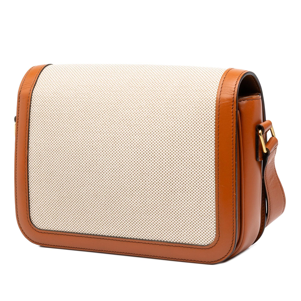 Celine Classique Canvas and Calfskin Triomphe Crossbody