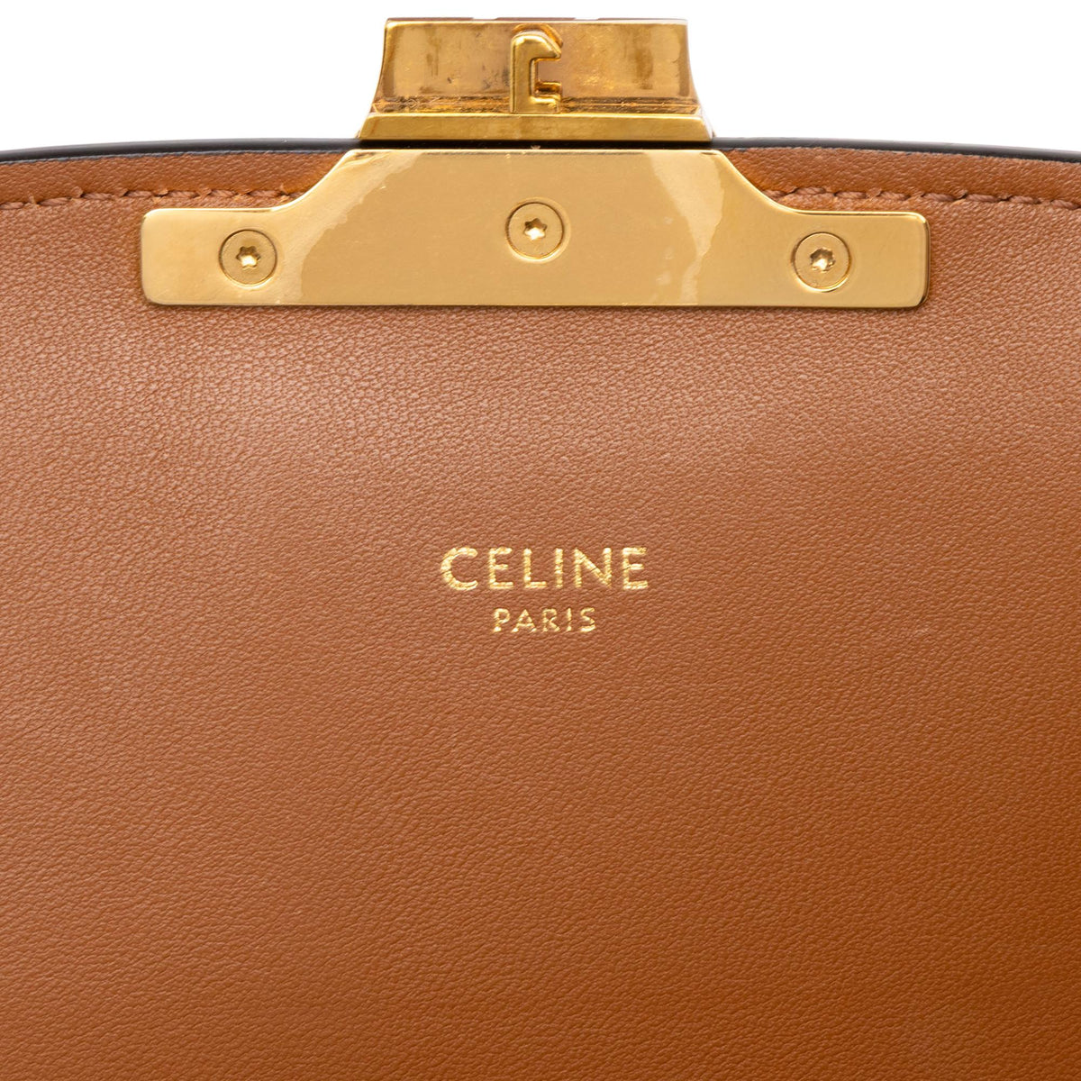 Celine Classique Triomphe Coated Canvas and Calfskin Triomphe Crossbody
