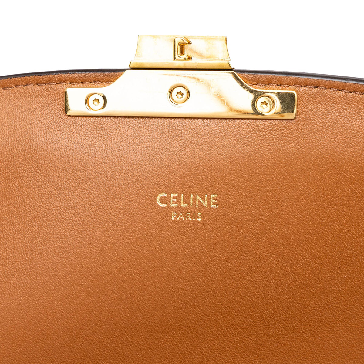 Celine Classique Triomphe Coated Canvas and Calfskin Triomphe Crossbody