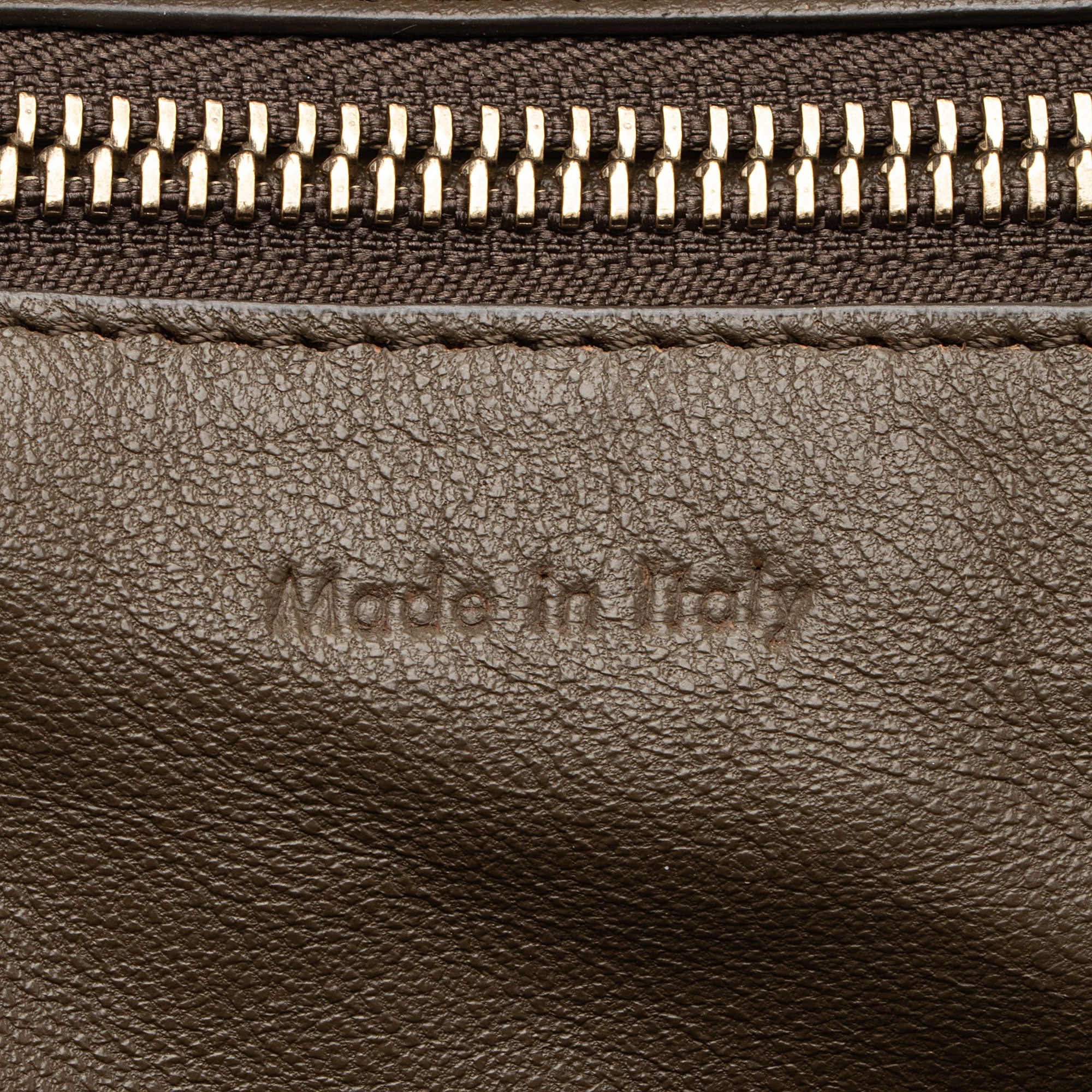 Celine Drummed Calfskin Mini Luggage Tote (SHF-20CRG5)
