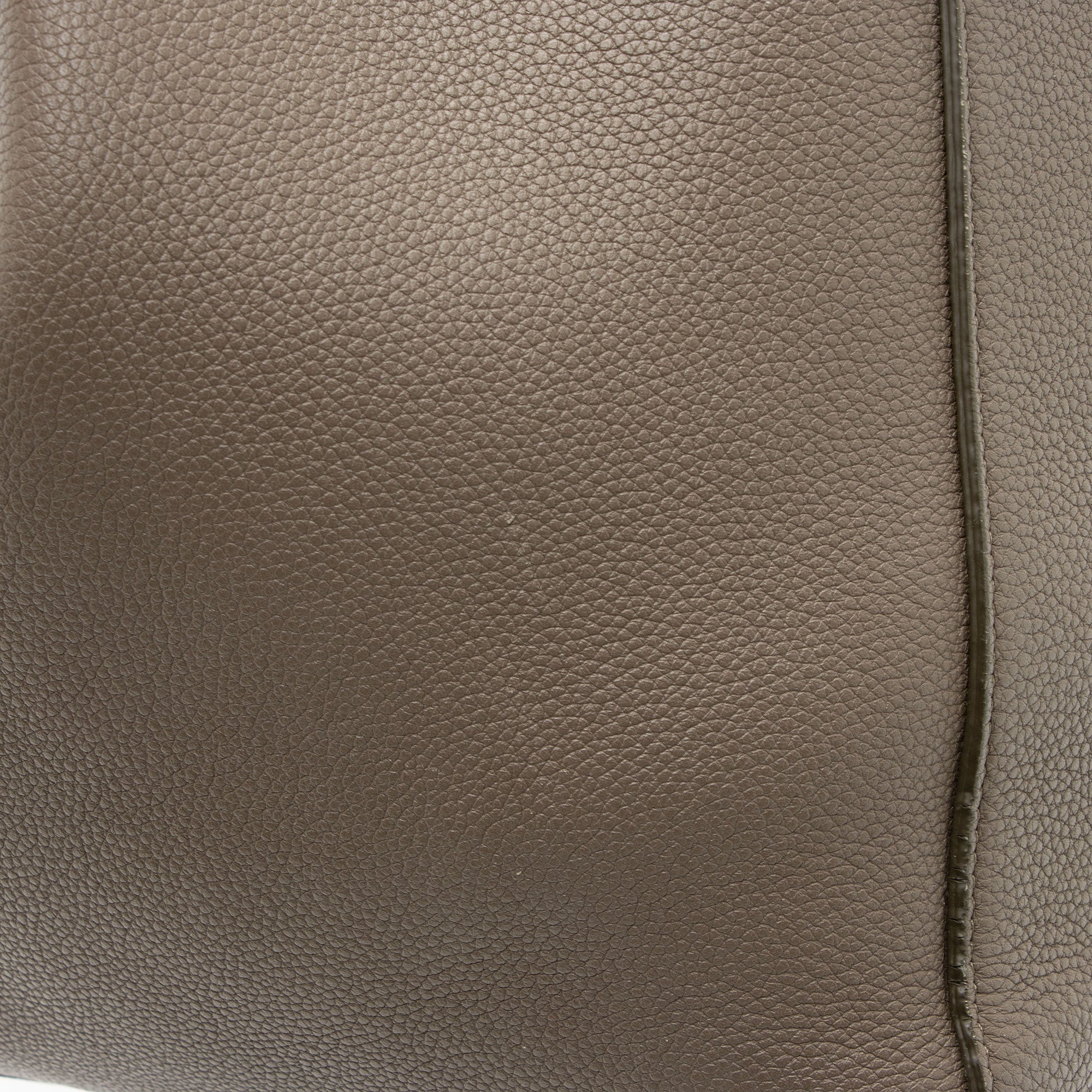 Celine Leather Cabas Phantom Medium Tote