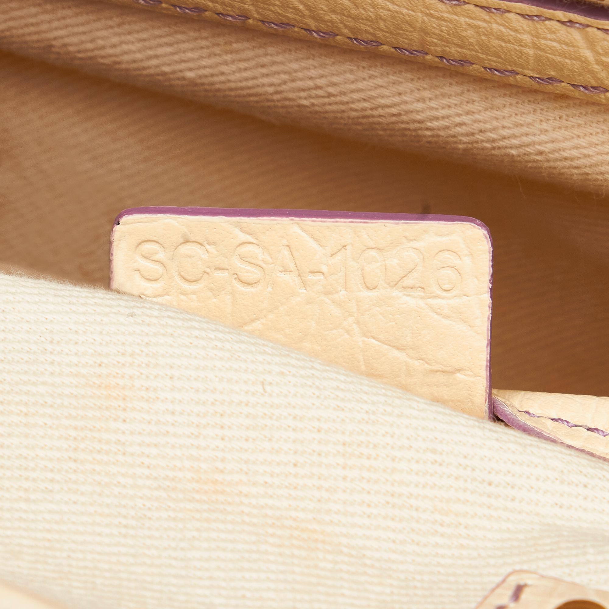 Celine Macadam Boogie Canvas Handbag (SHG-37784)