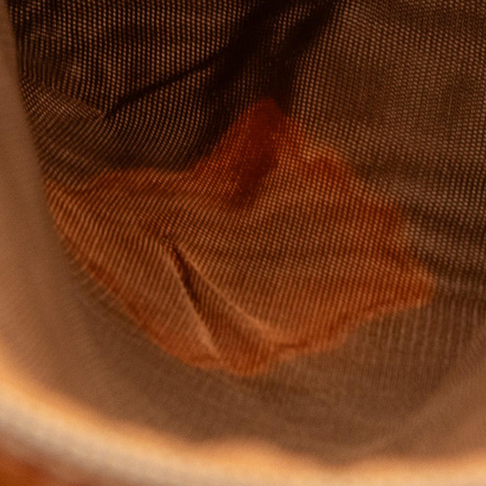 Celine Macadam Tote (SHG-sR1D3S)