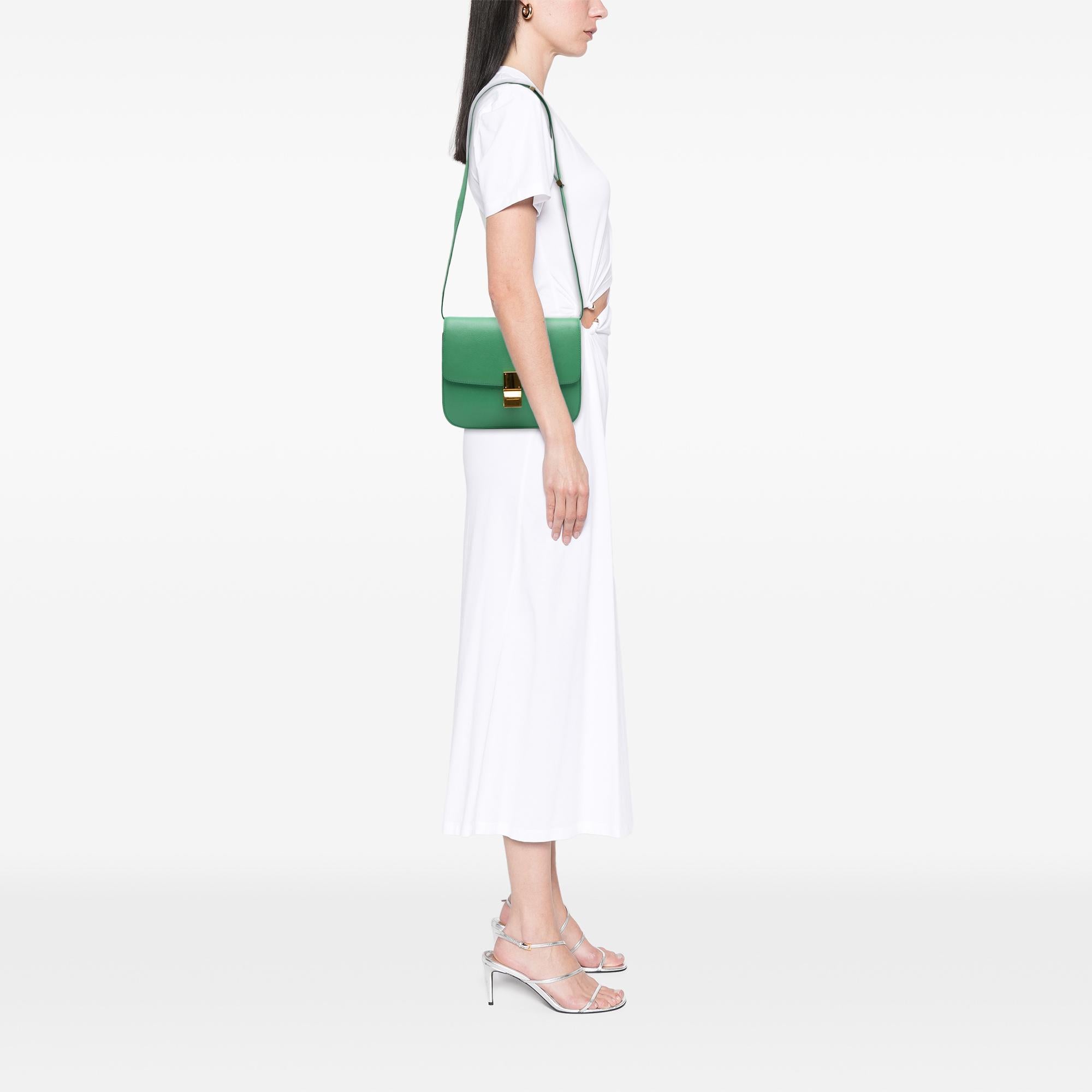 Celine Medium Calfskin Classic Box