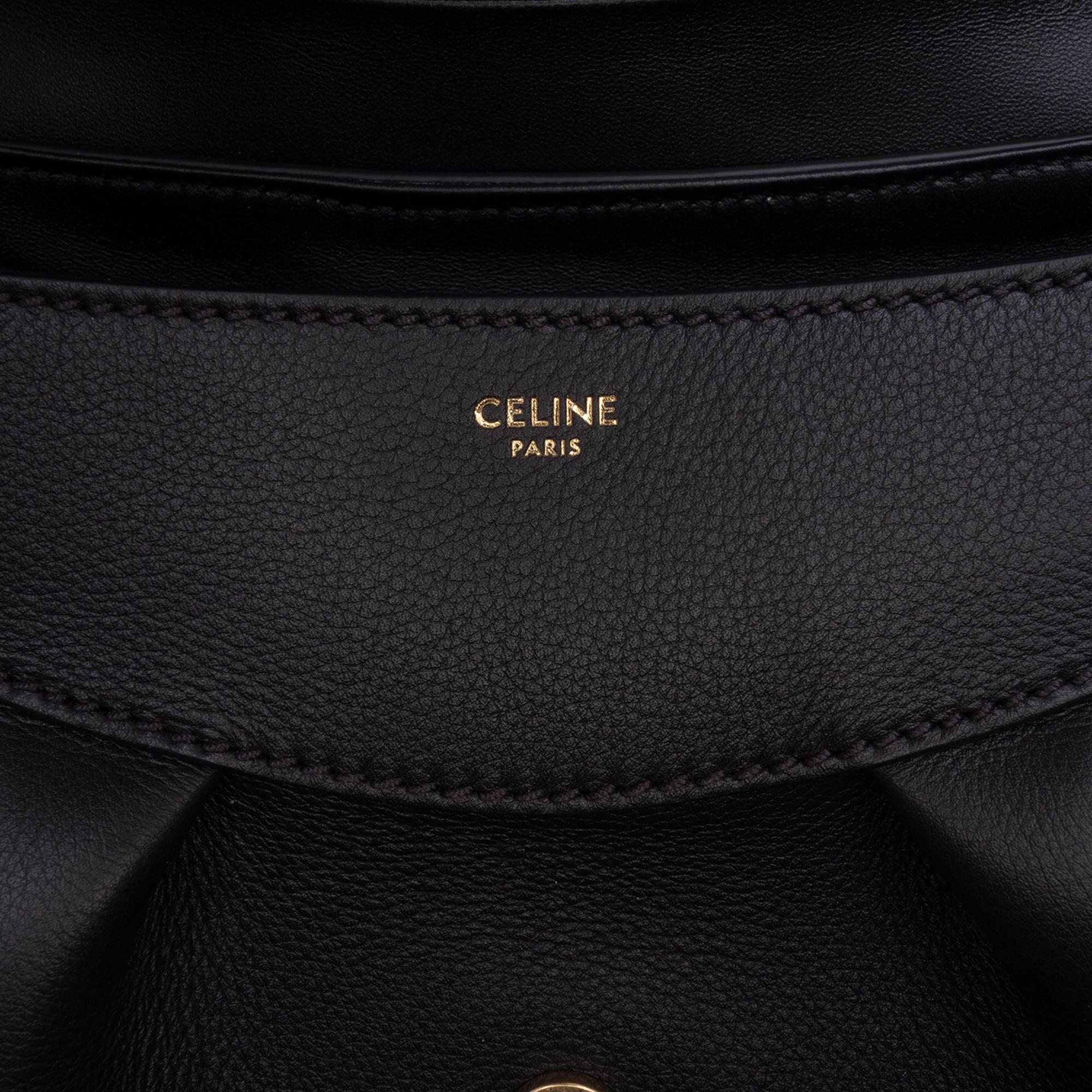 Celine Medium Calfskin Triomphe Polly Shoulder Bag