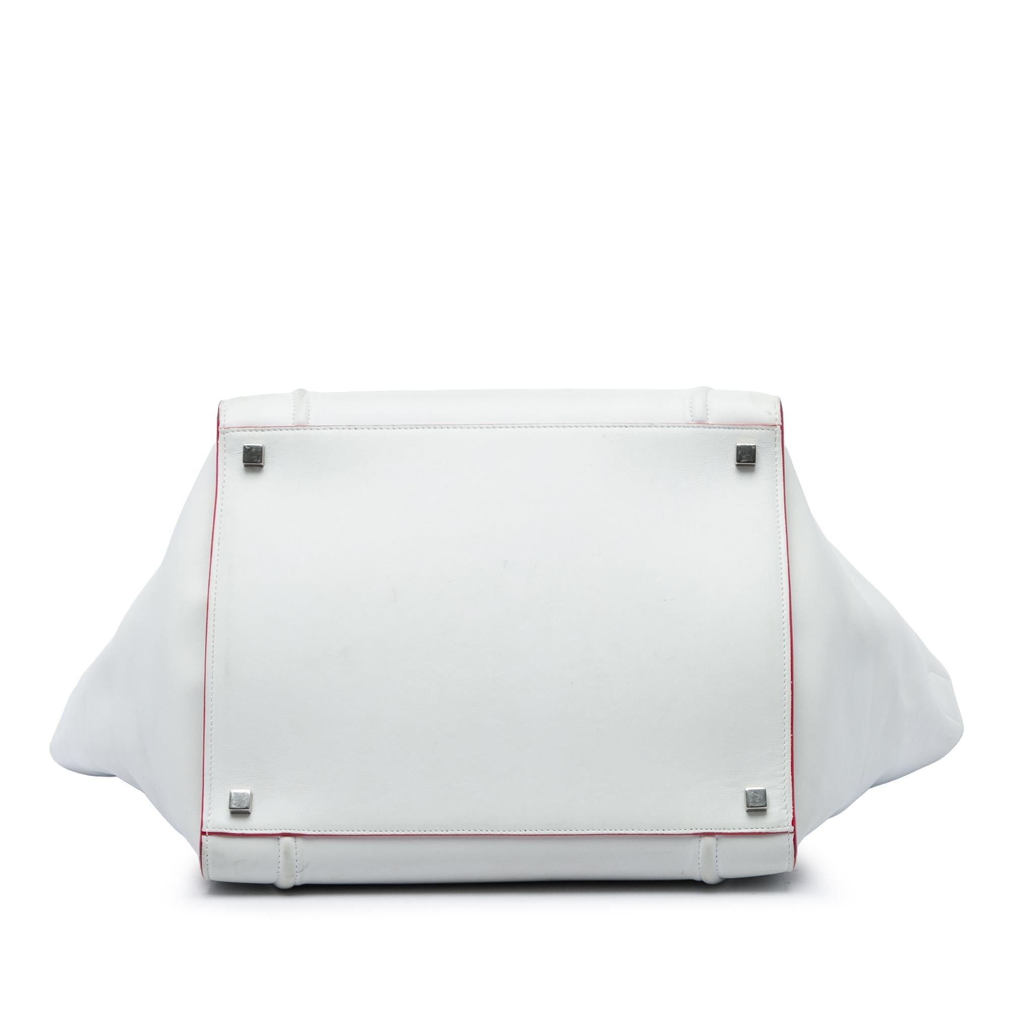 Celine Medium Leather Phantom Luggage Tote
