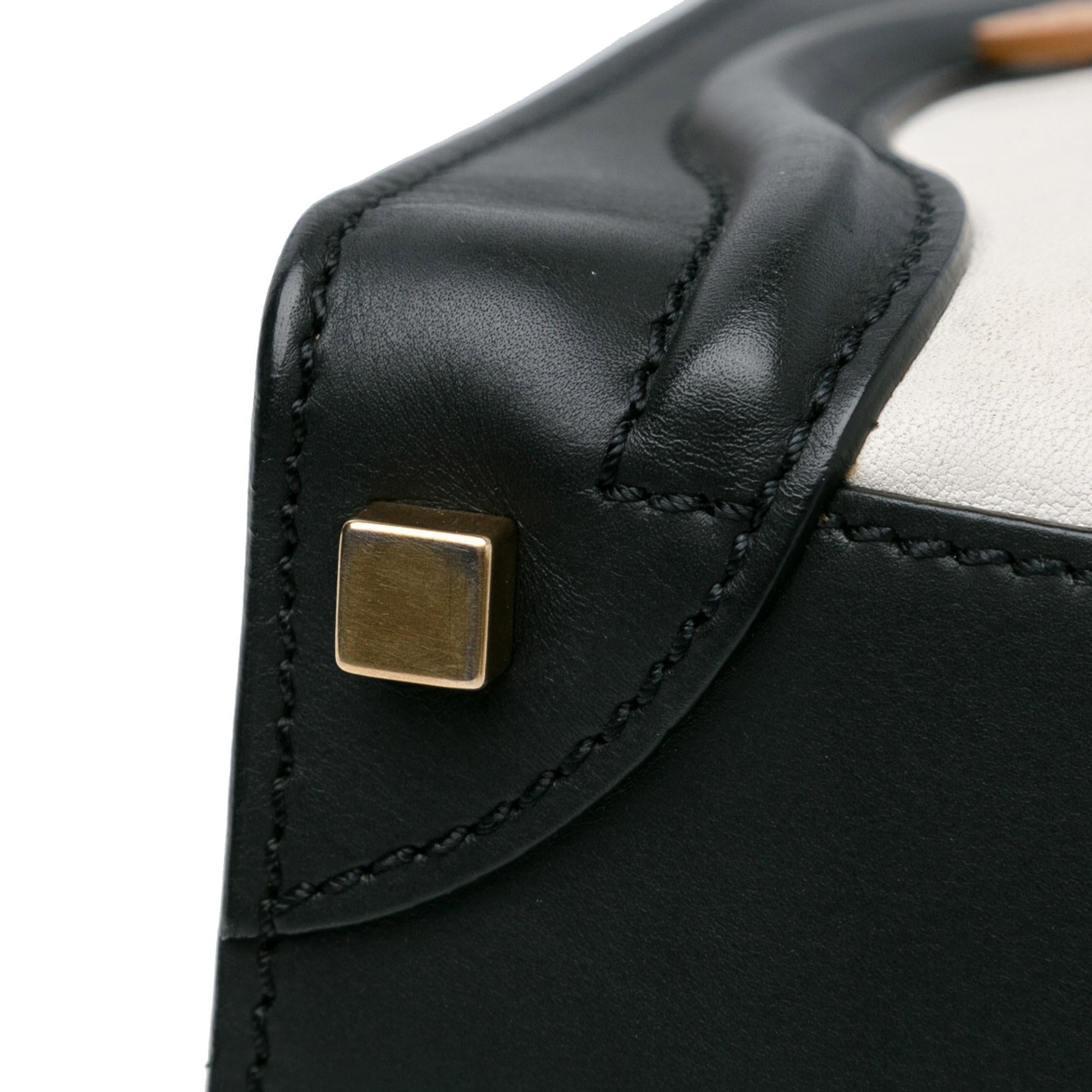 Celine Micro Tricolor Luggage Tote (SHG-rmDxa0)