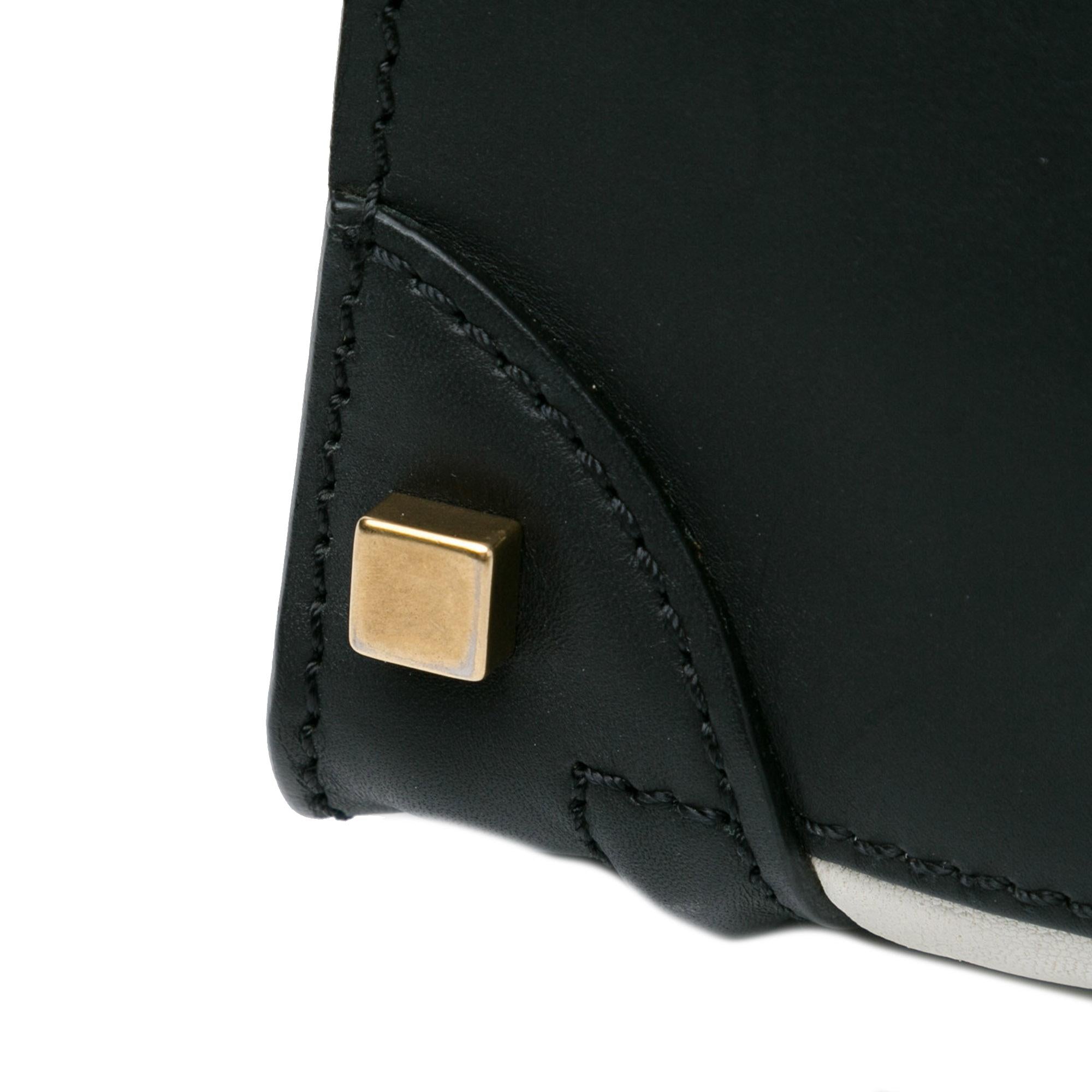 Celine Micro Tricolor Luggage Tote (SHG-rmDxa0)