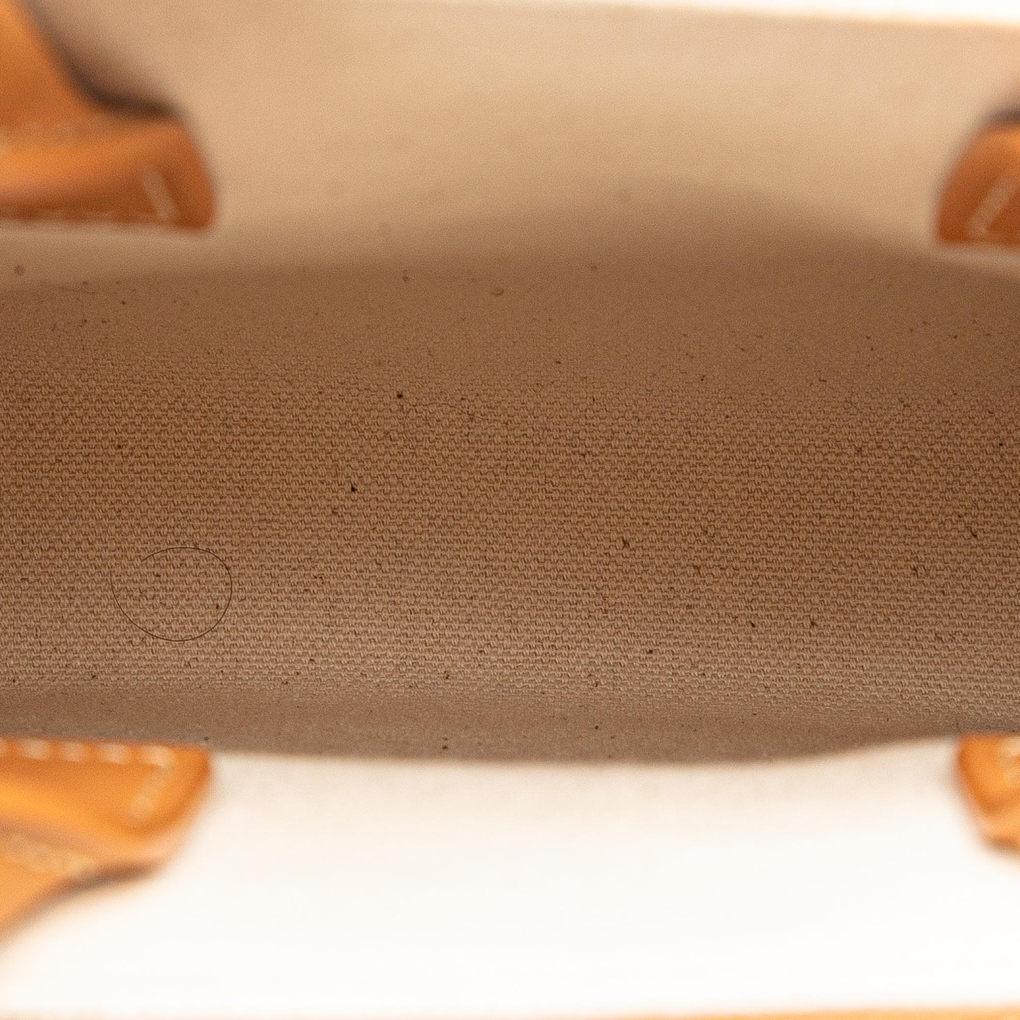 Celine Mini Canvas Vertical Cabas (SHG-izYTkz)